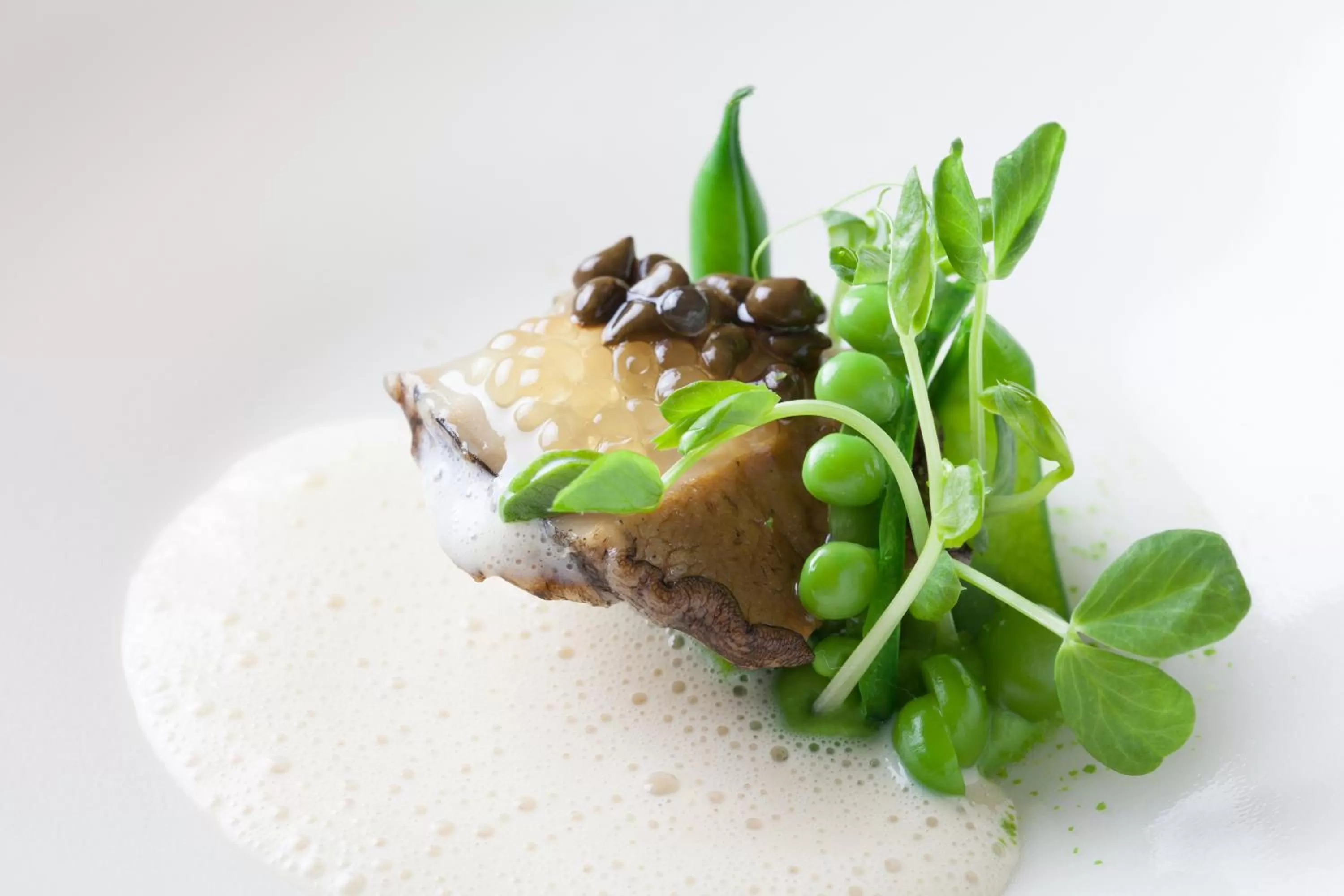 Dinner in Kobe Kitano Hotel