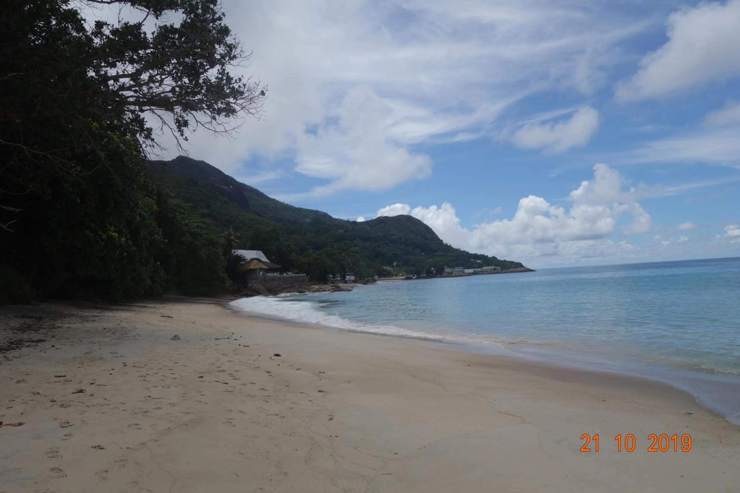 Beach in Forest Lodge