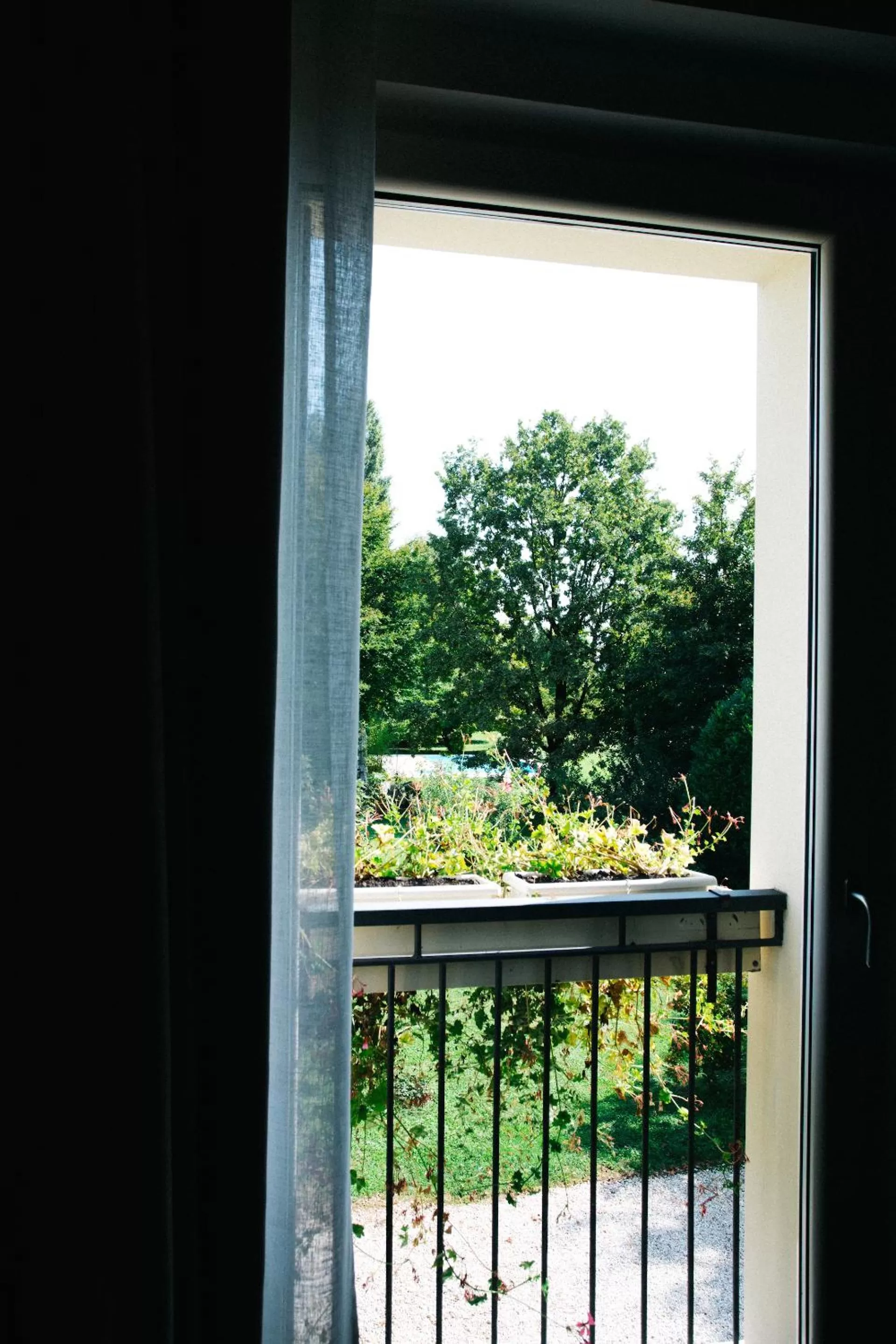 Garden view in SoloQui