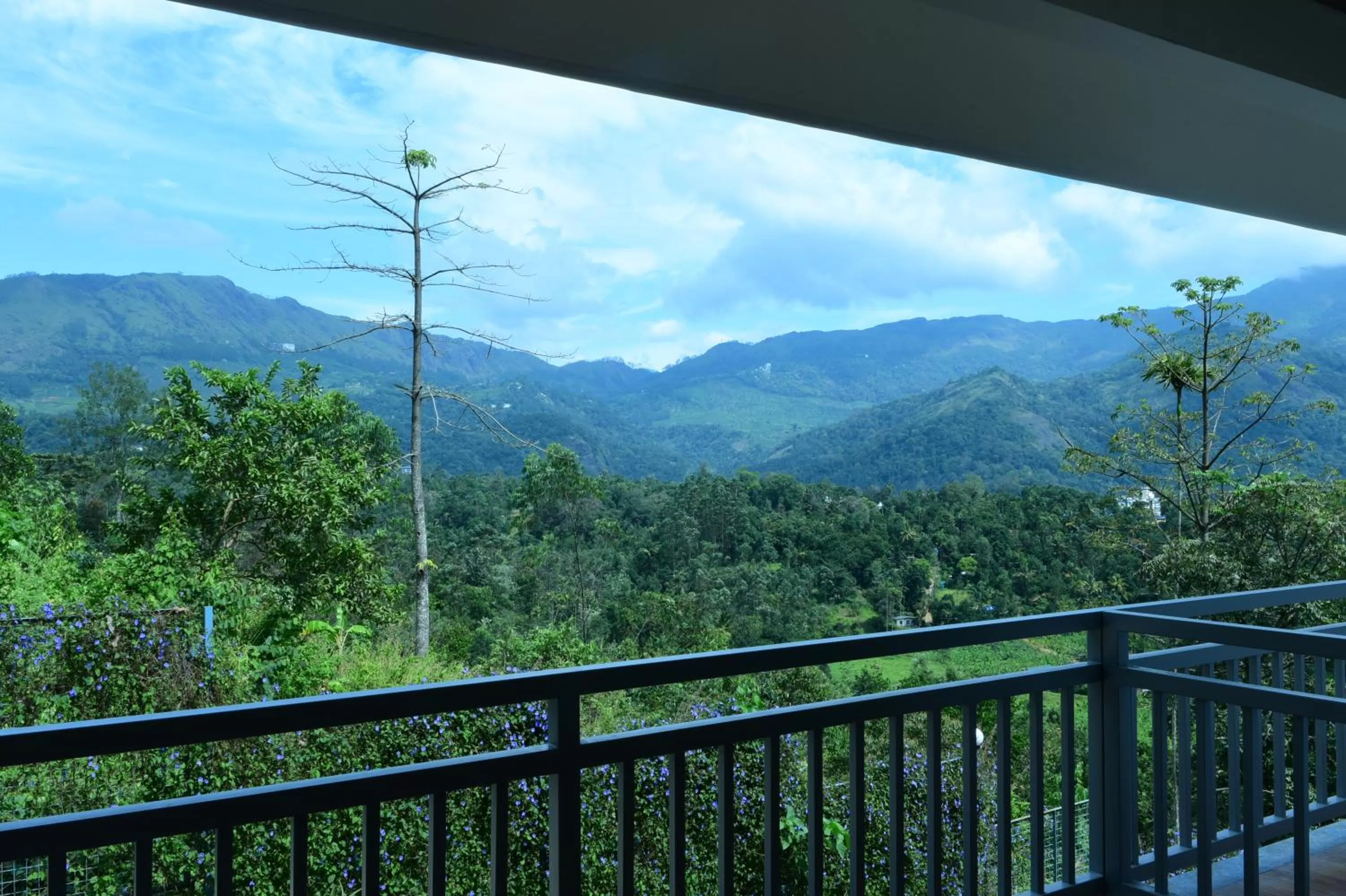 Patio, Mountain View in Zenha Resorts