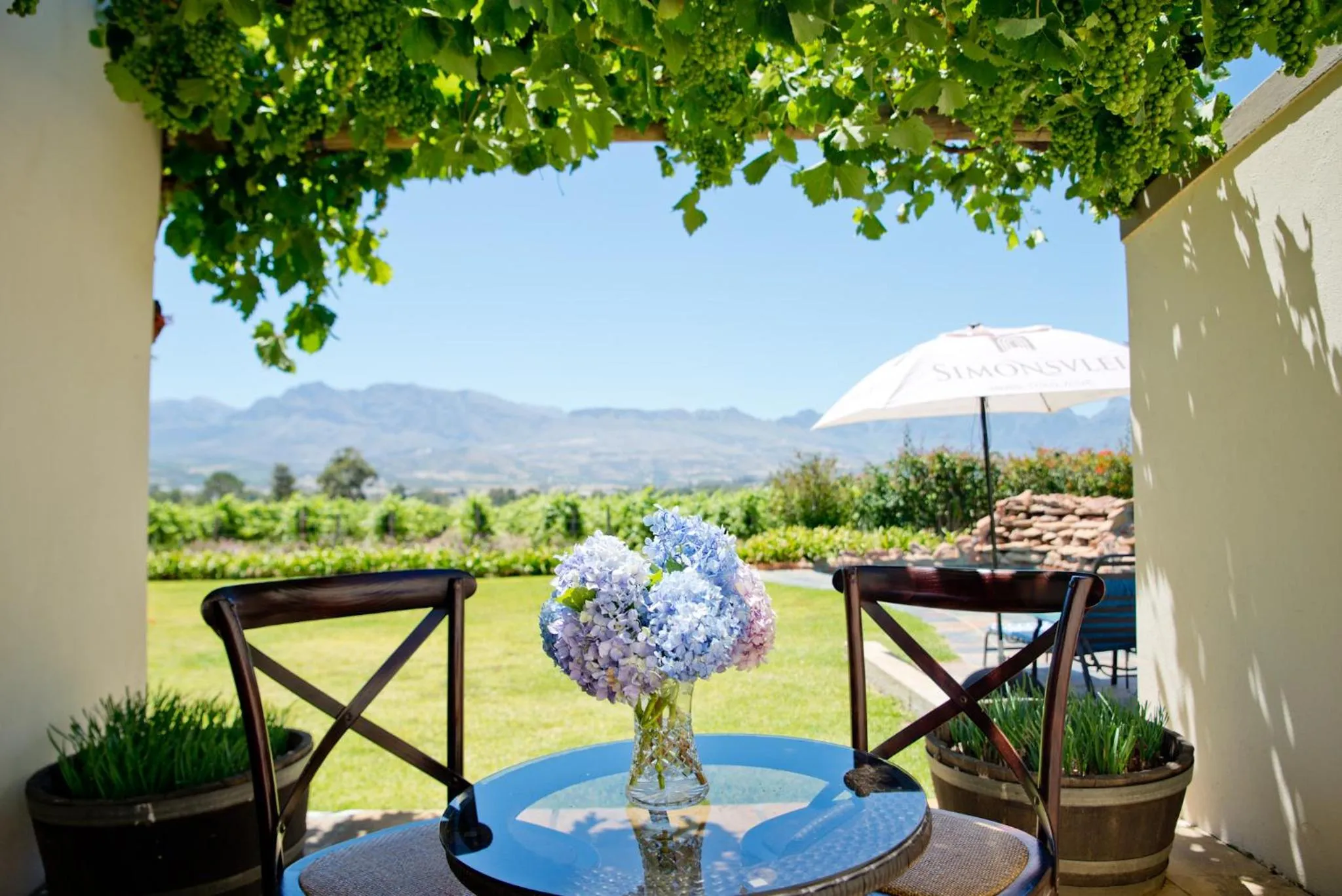 Patio in Cana Vineyard Guesthouse