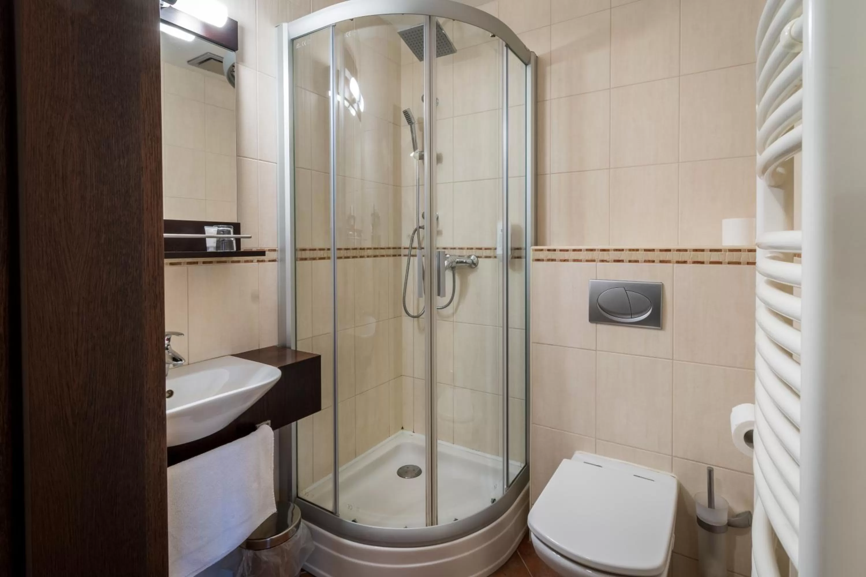 Bathroom in Hotel U Hejtmana Šarovce