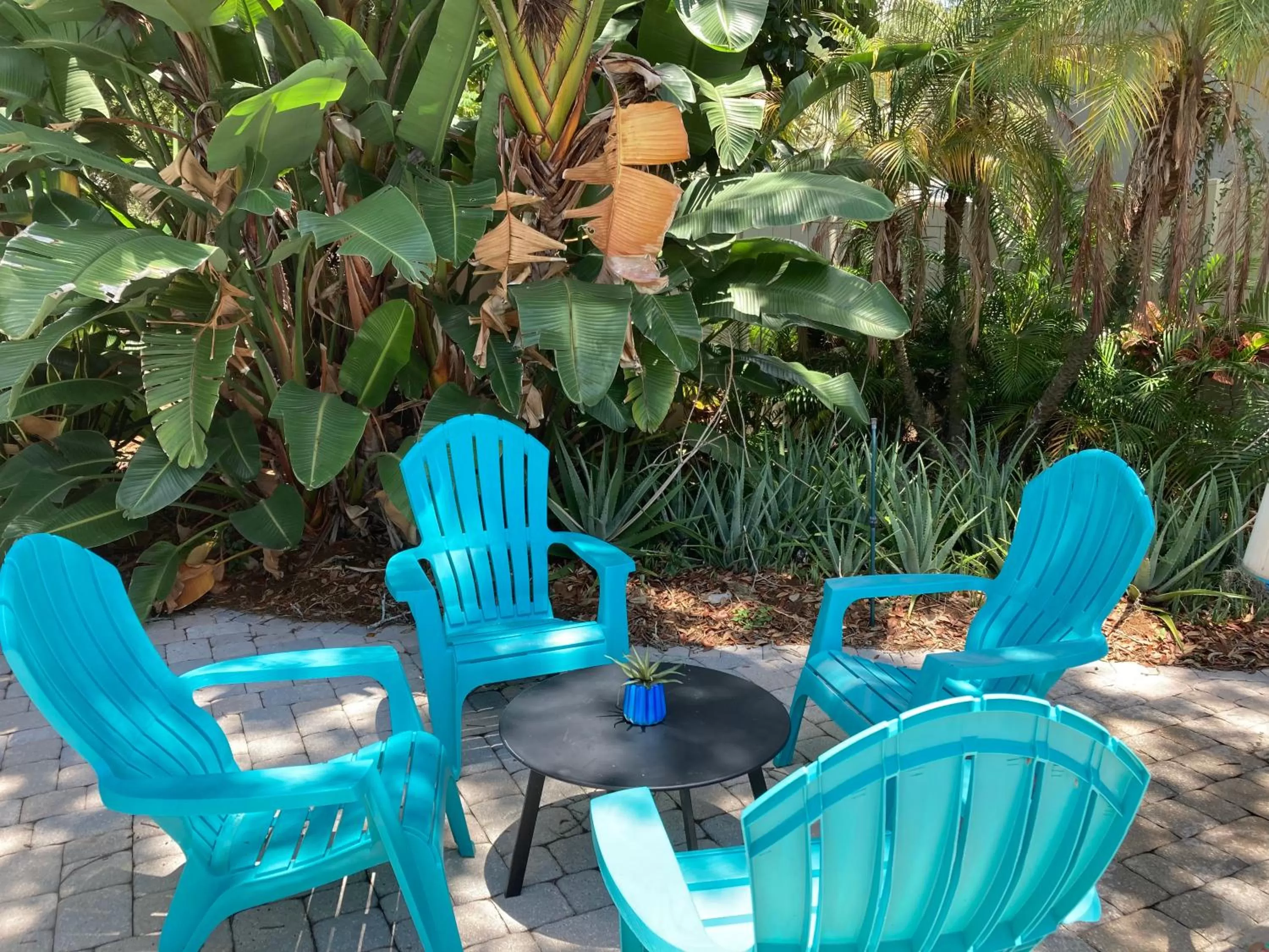 3Gulls Inn Ozona-Boutique Hotel-Steps from Restaurants & Brewery-SwimSpa Pool-Pet Friendly