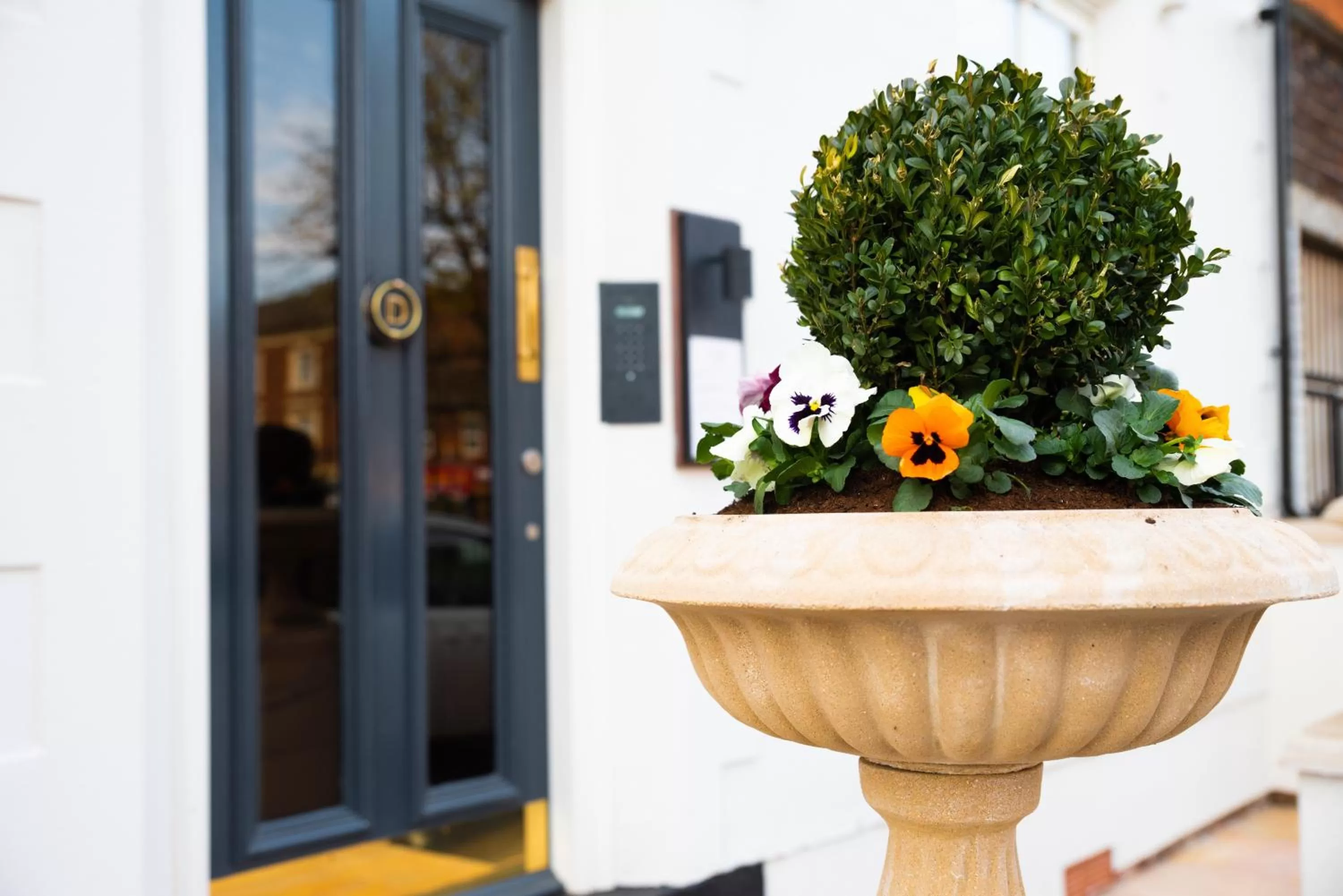 Day in Domo Boutique Hotel