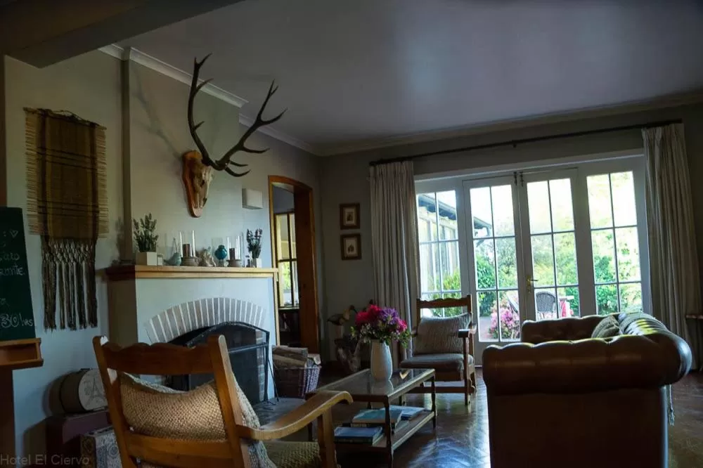 Seating Area in Hotel El Ciervo