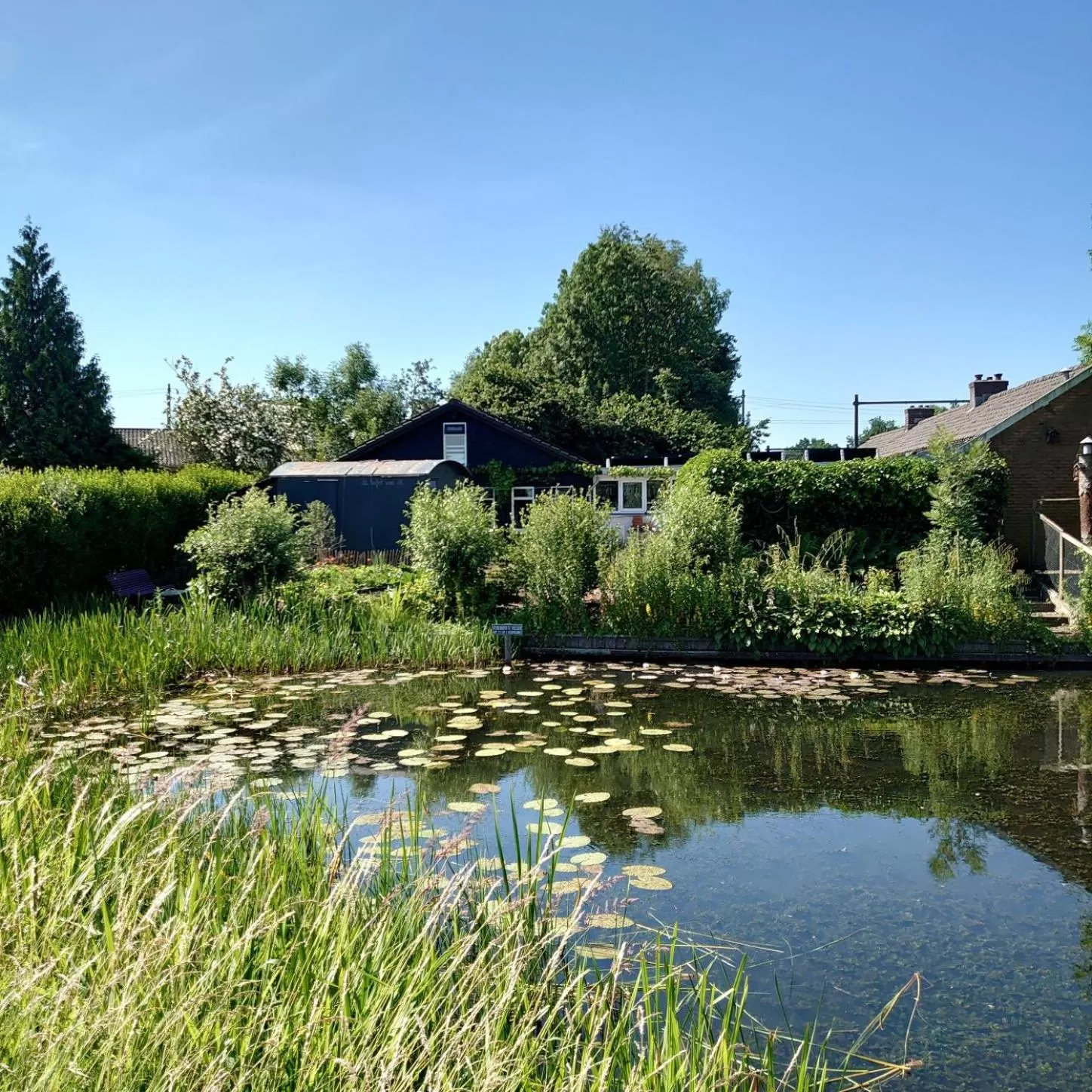 Natural landscape in B en B Sluisje 1818