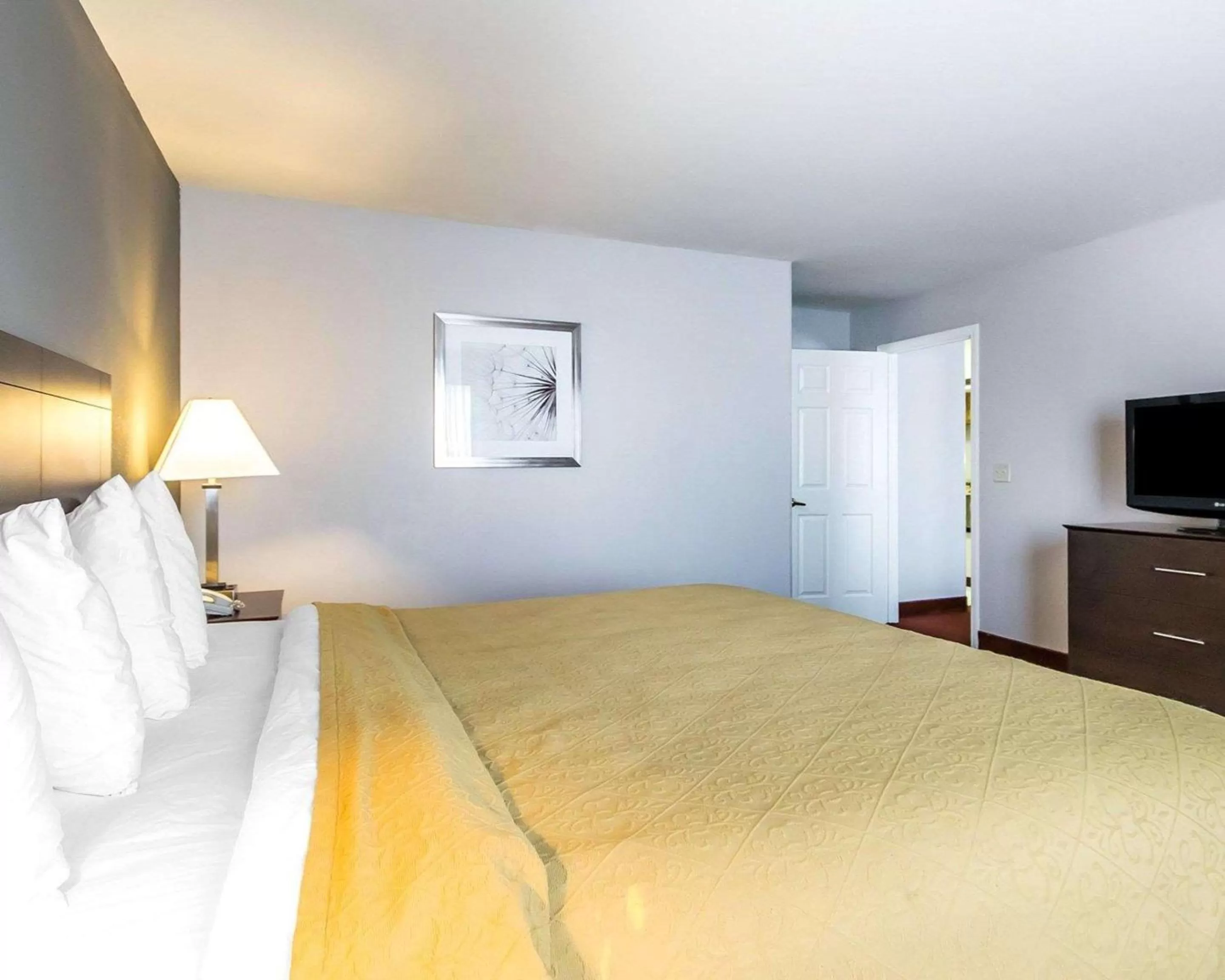 Photo of the whole room, Bed in Quality Inn & Suites University-Airport