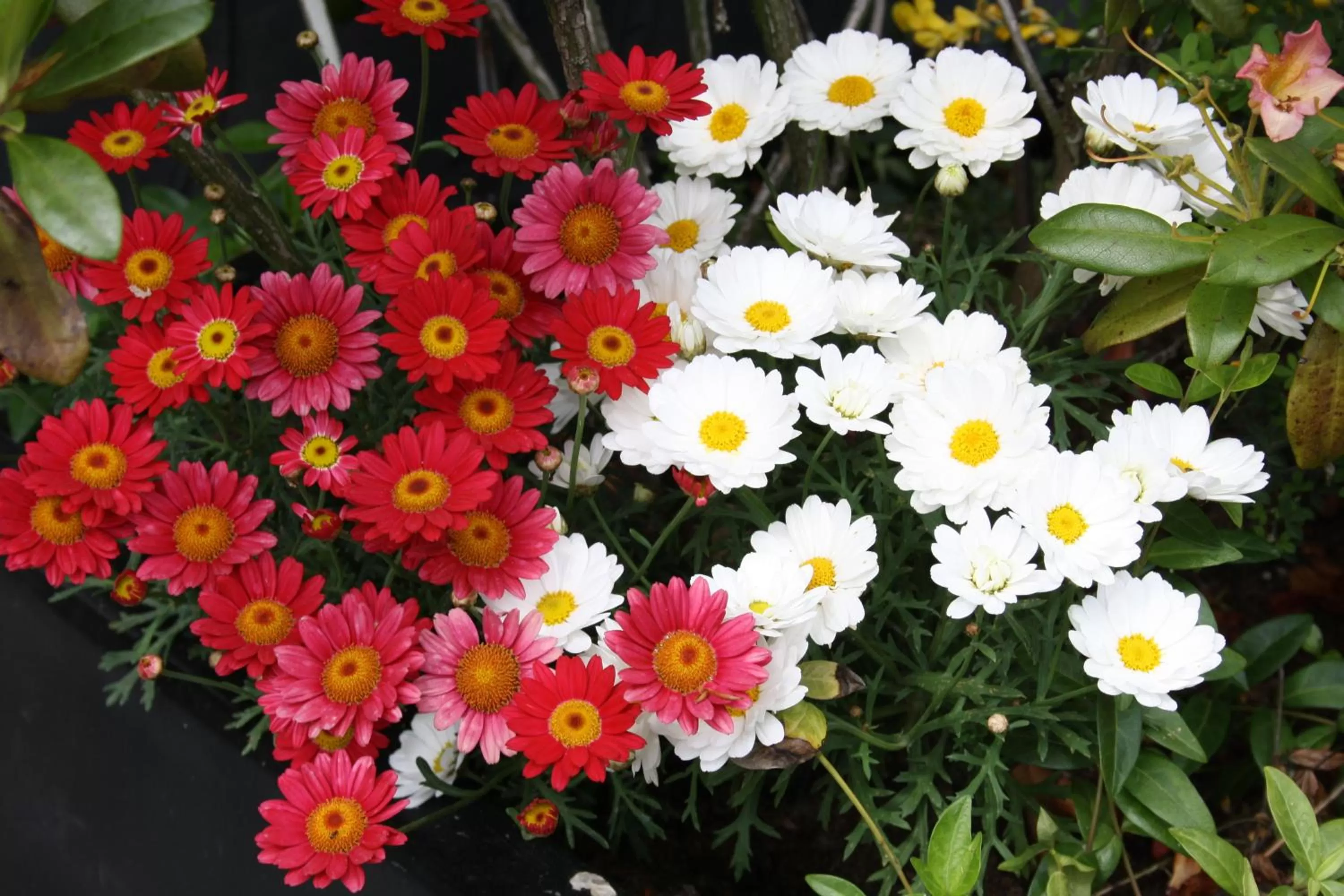 View (from property/room) in Hotel König