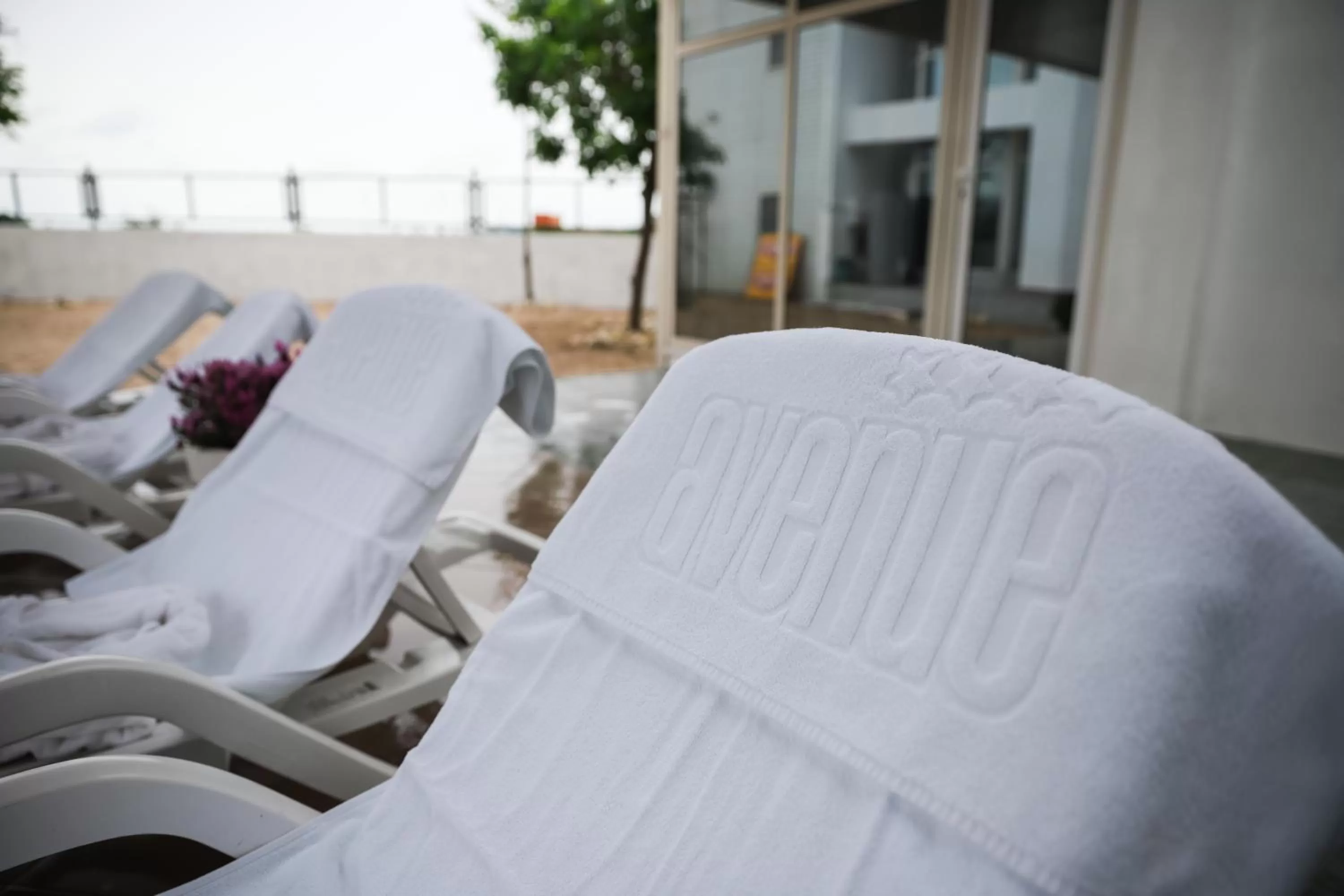 Patio in Avenue Palm Eforie - Avenue Hotels