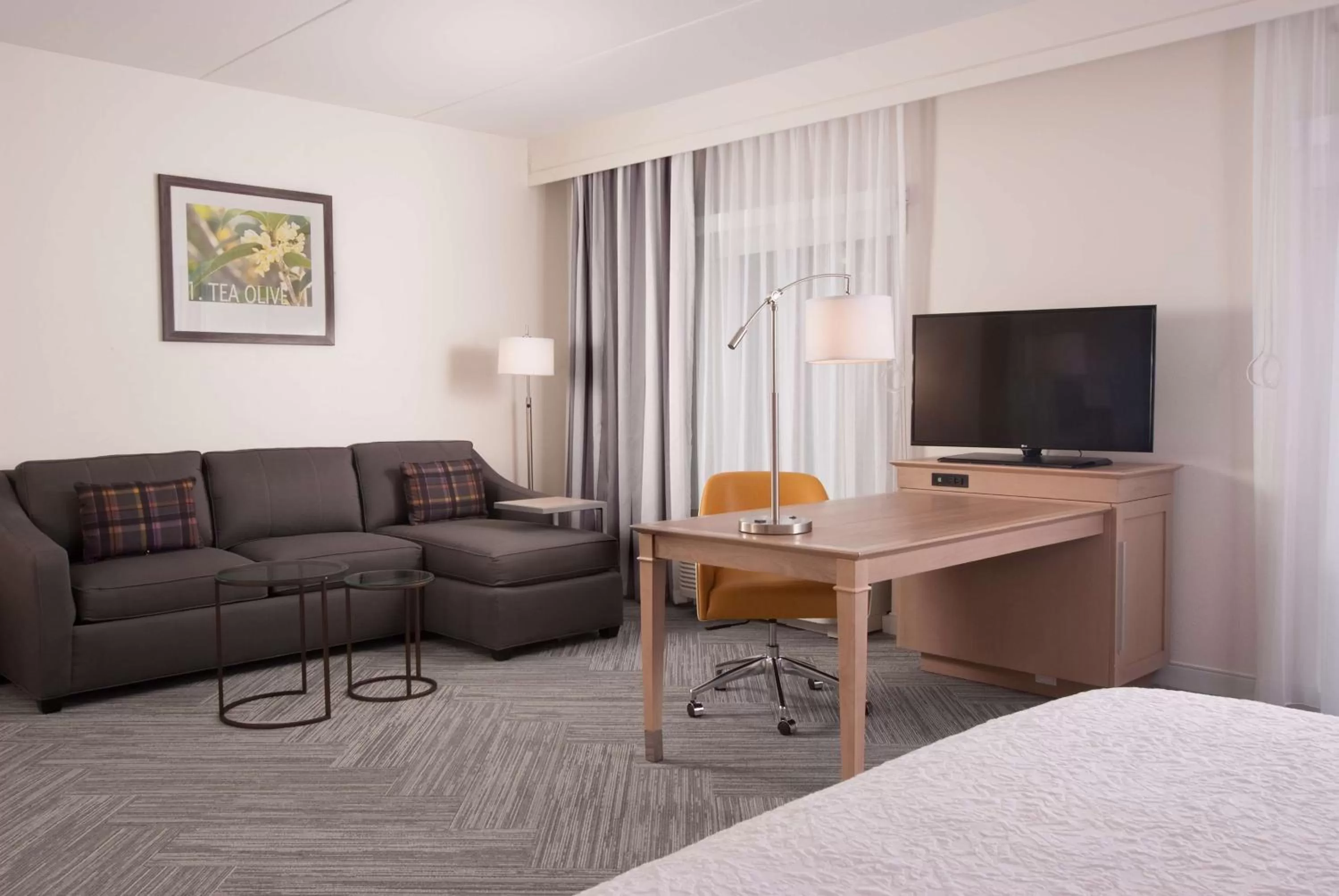 Living room in Hampton Inn & Suites by Hilton Augusta-Washington Rd