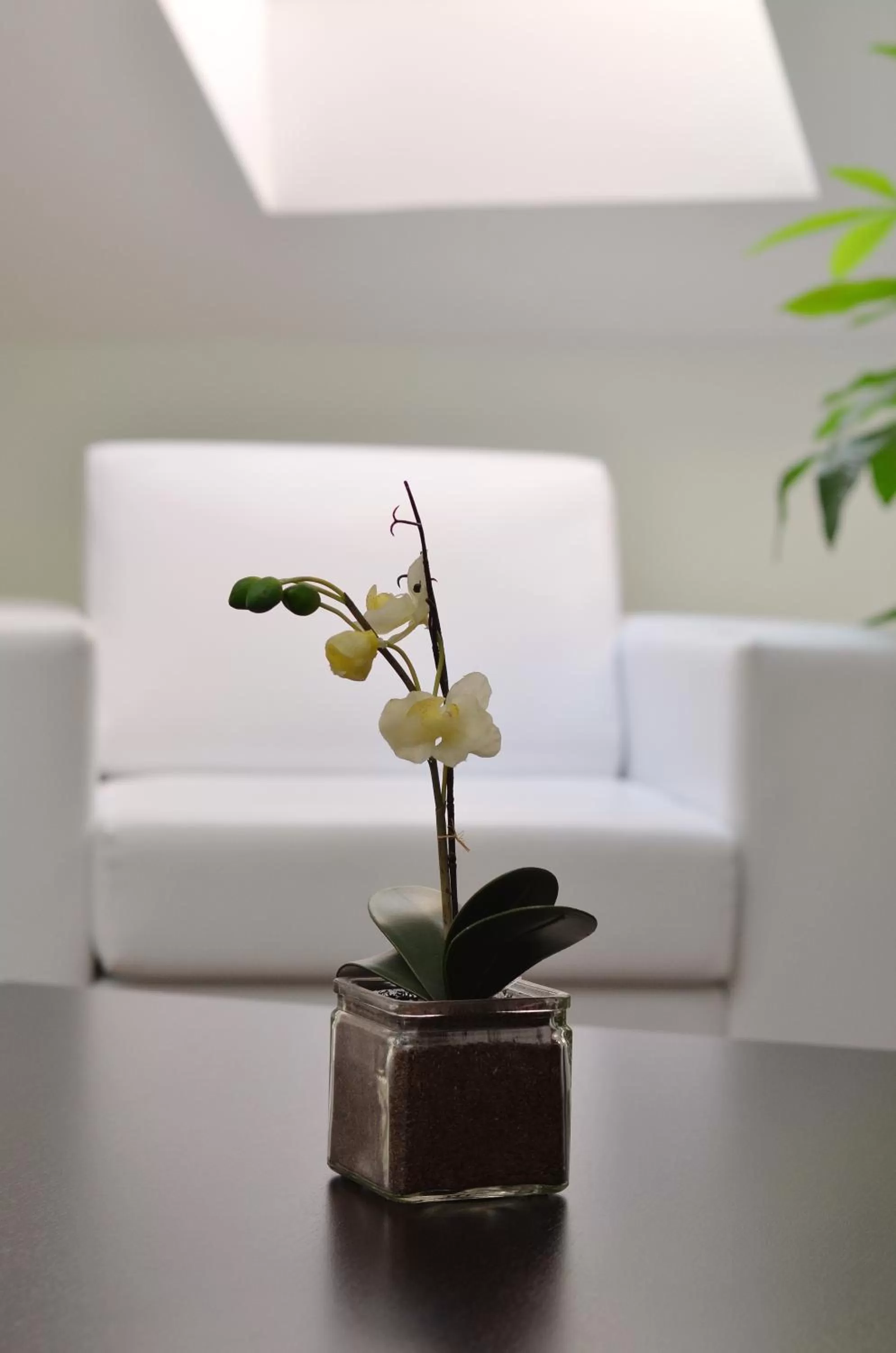 Decorative detail, Seating Area in Art Garni Hotel