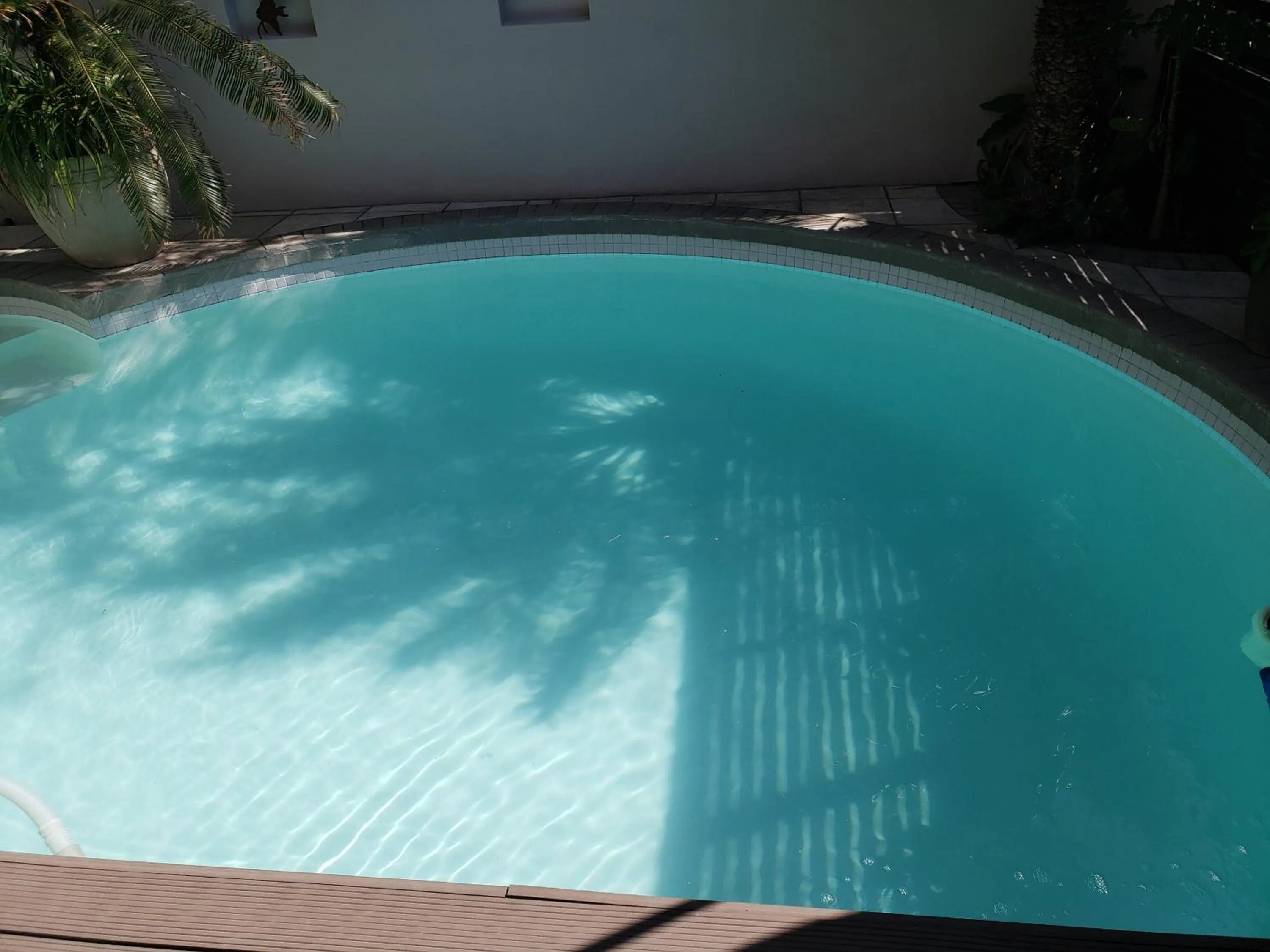 Pool view in Point B Guest House -Sustainable Solar Energy