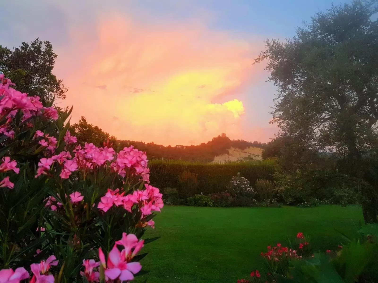 Garden in La Pergola B&B