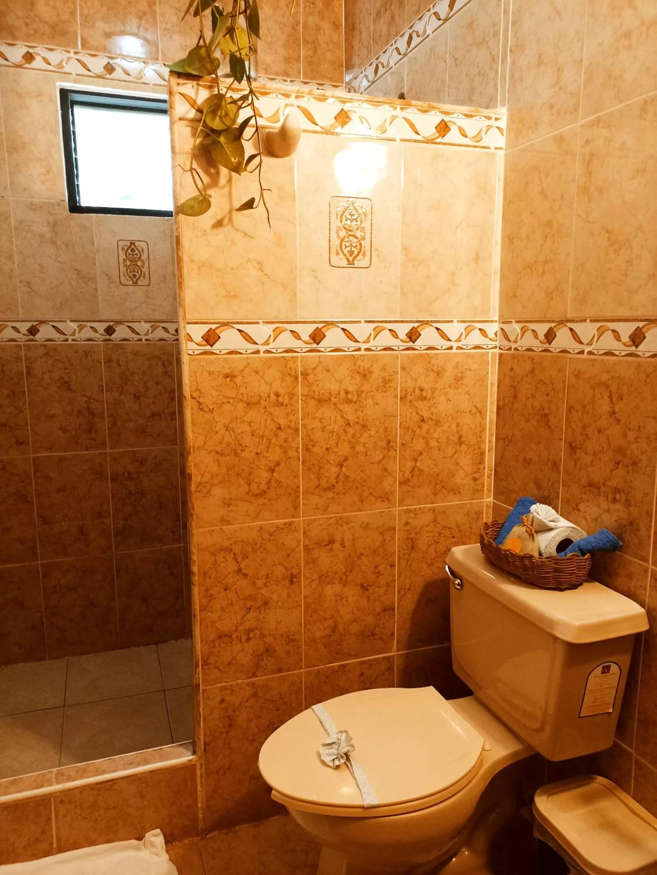 Casa De Los Pájaros - B&B