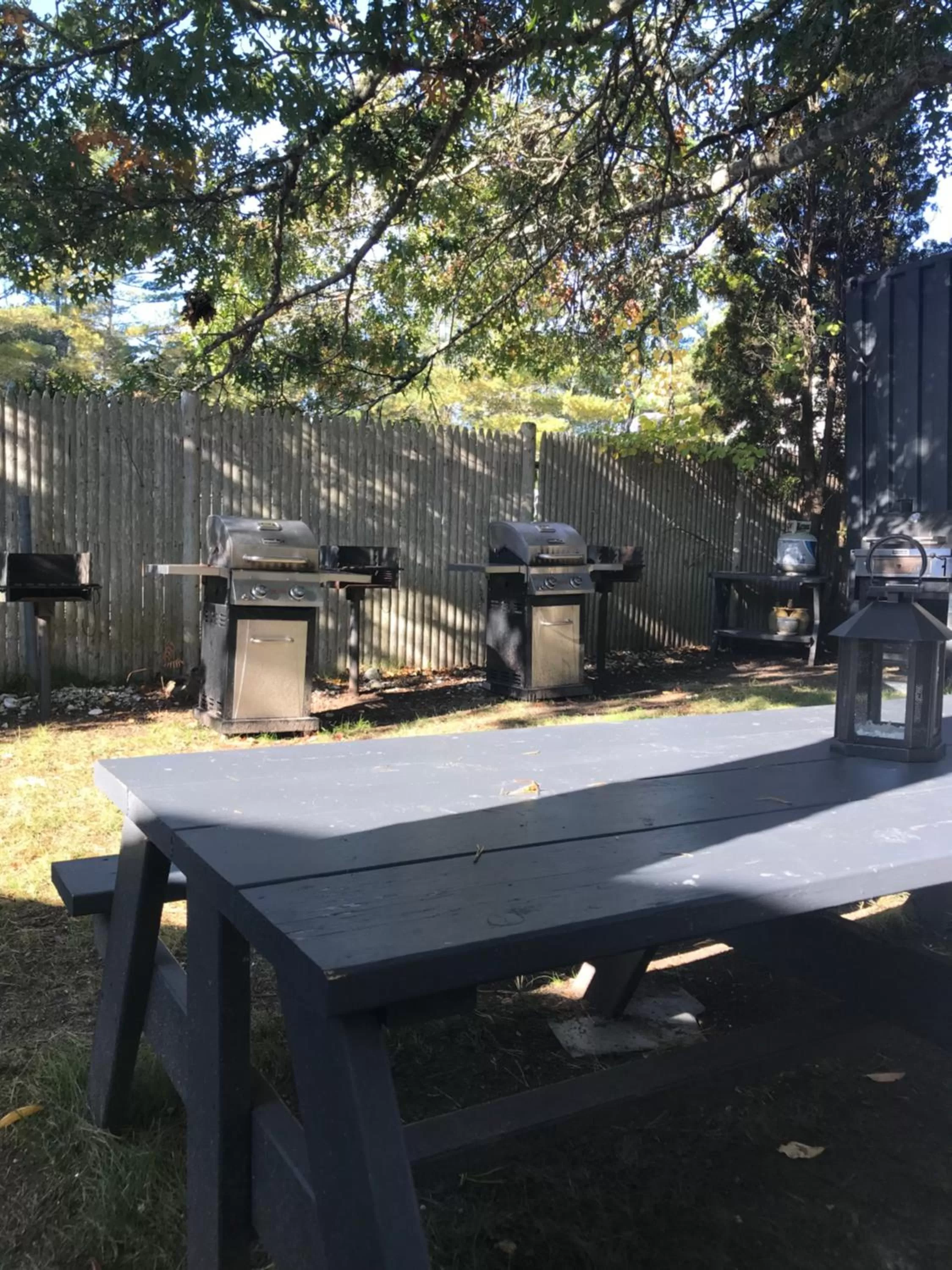 Garden in Cape Cod Veranda