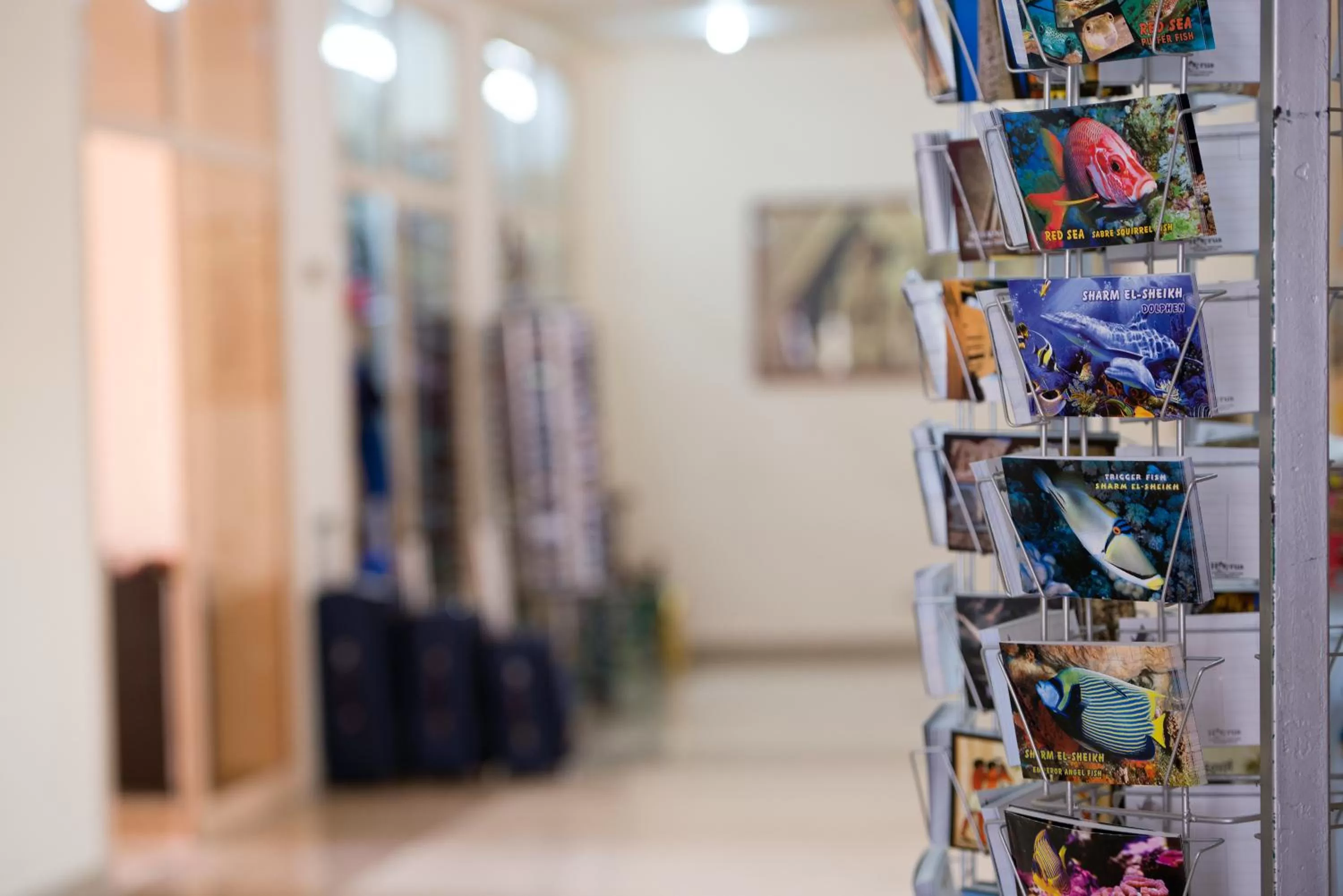 On-site shops in Amphoras Blu Ultra-AI Adults Friendly