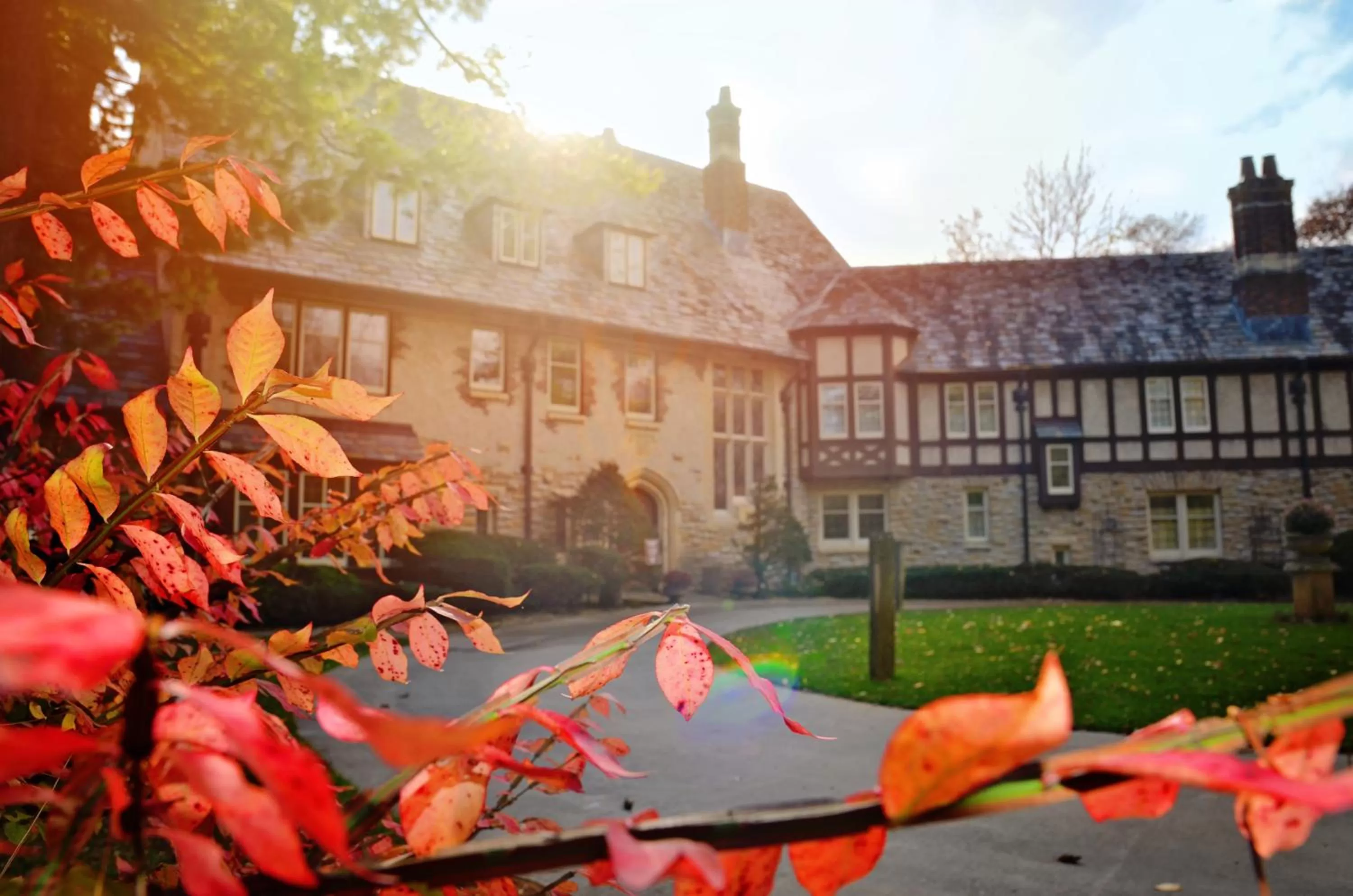 Activities in Centerstone Plaza Hotel Soldiers Field - Mayo Clinic Area