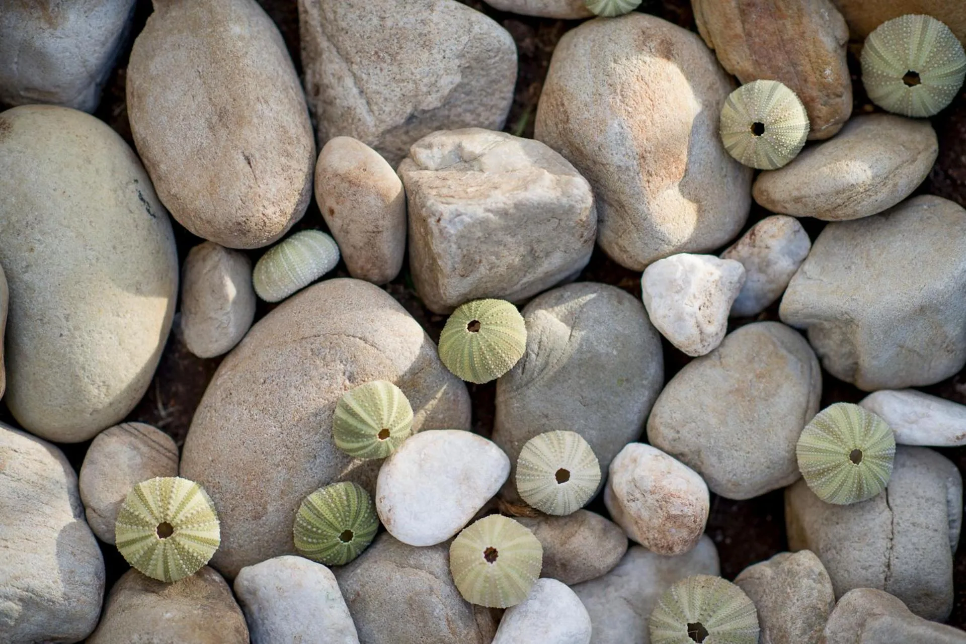 Bathroom in Palm Beach Guesthouse