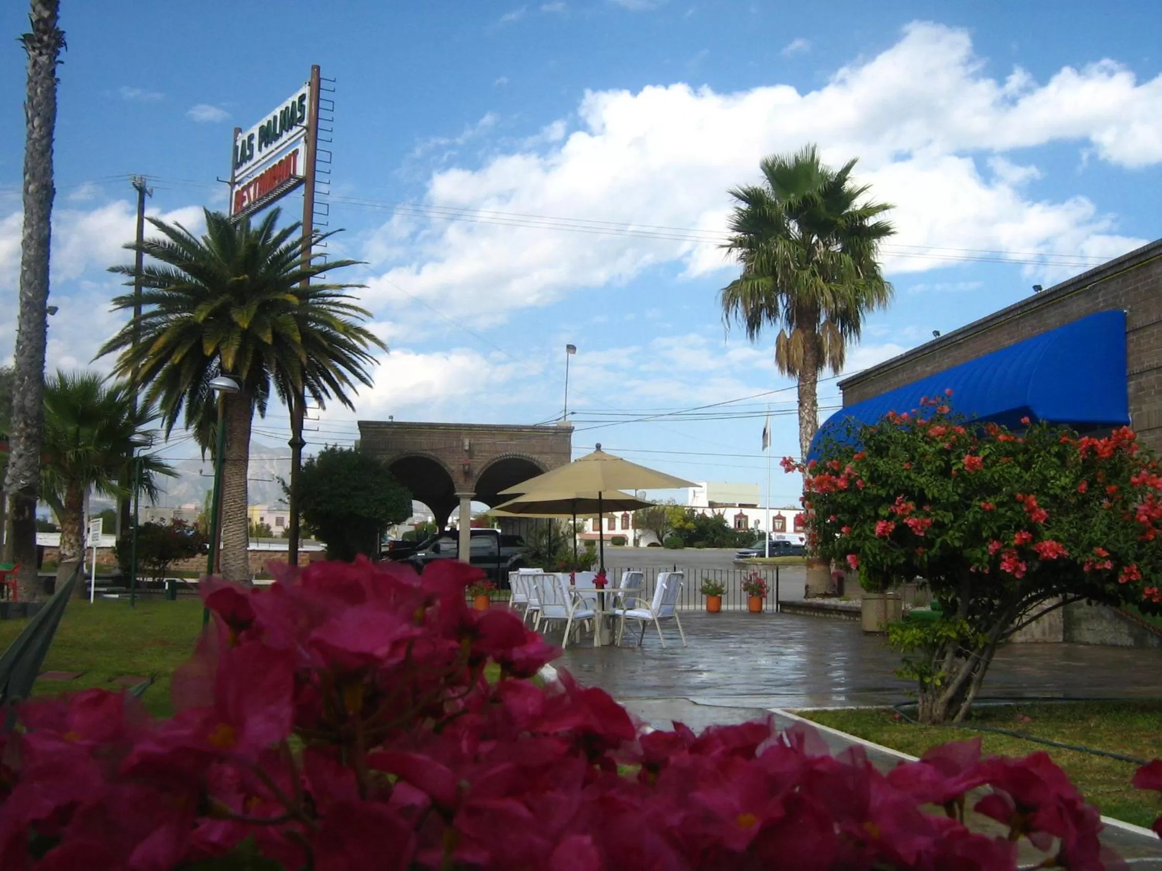 Patio in Hotel Las Palmas Midway Inn