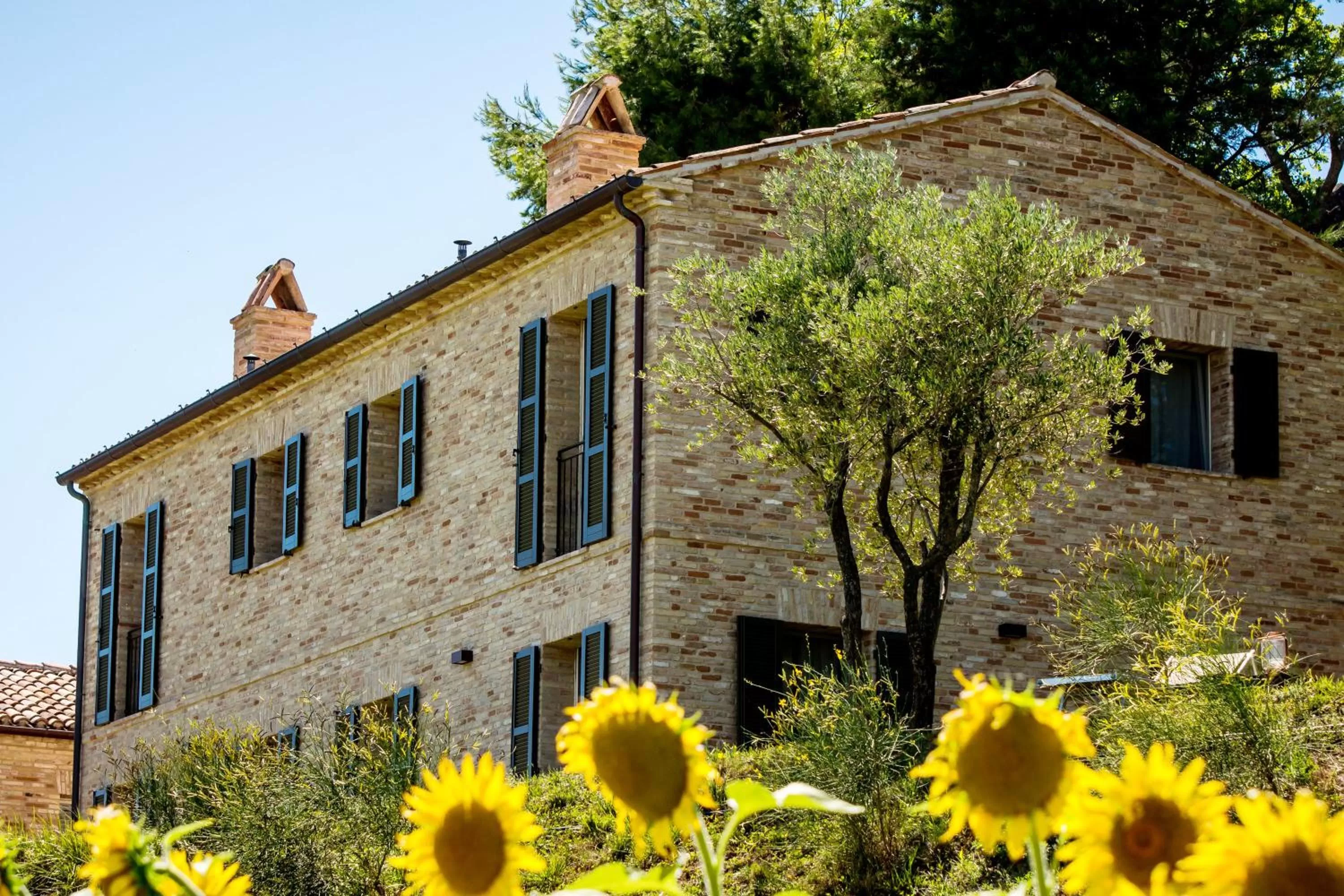 Property building in CasaVostra - Ambience Suites