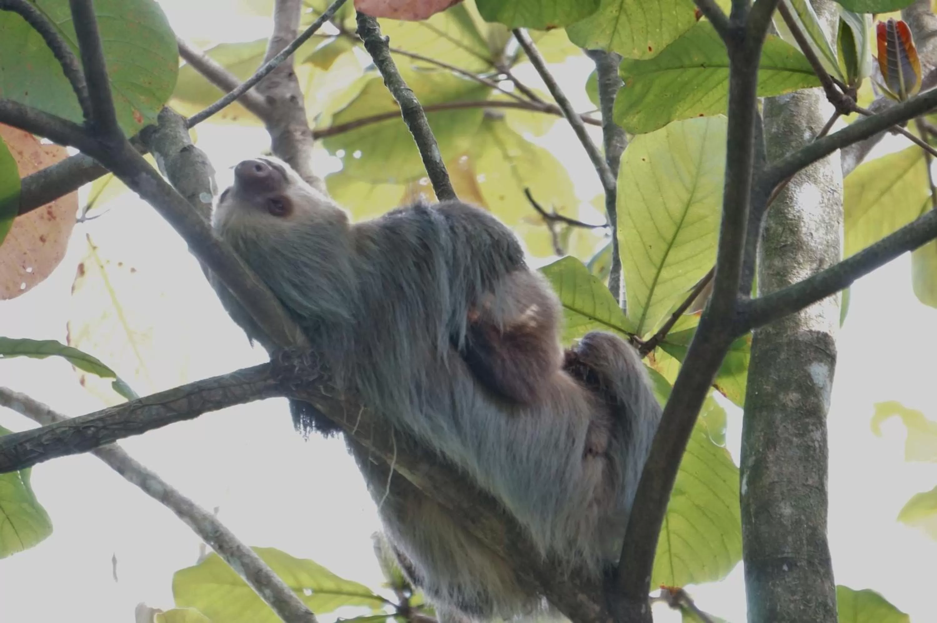 Area and facilities in Hotel Monte Real