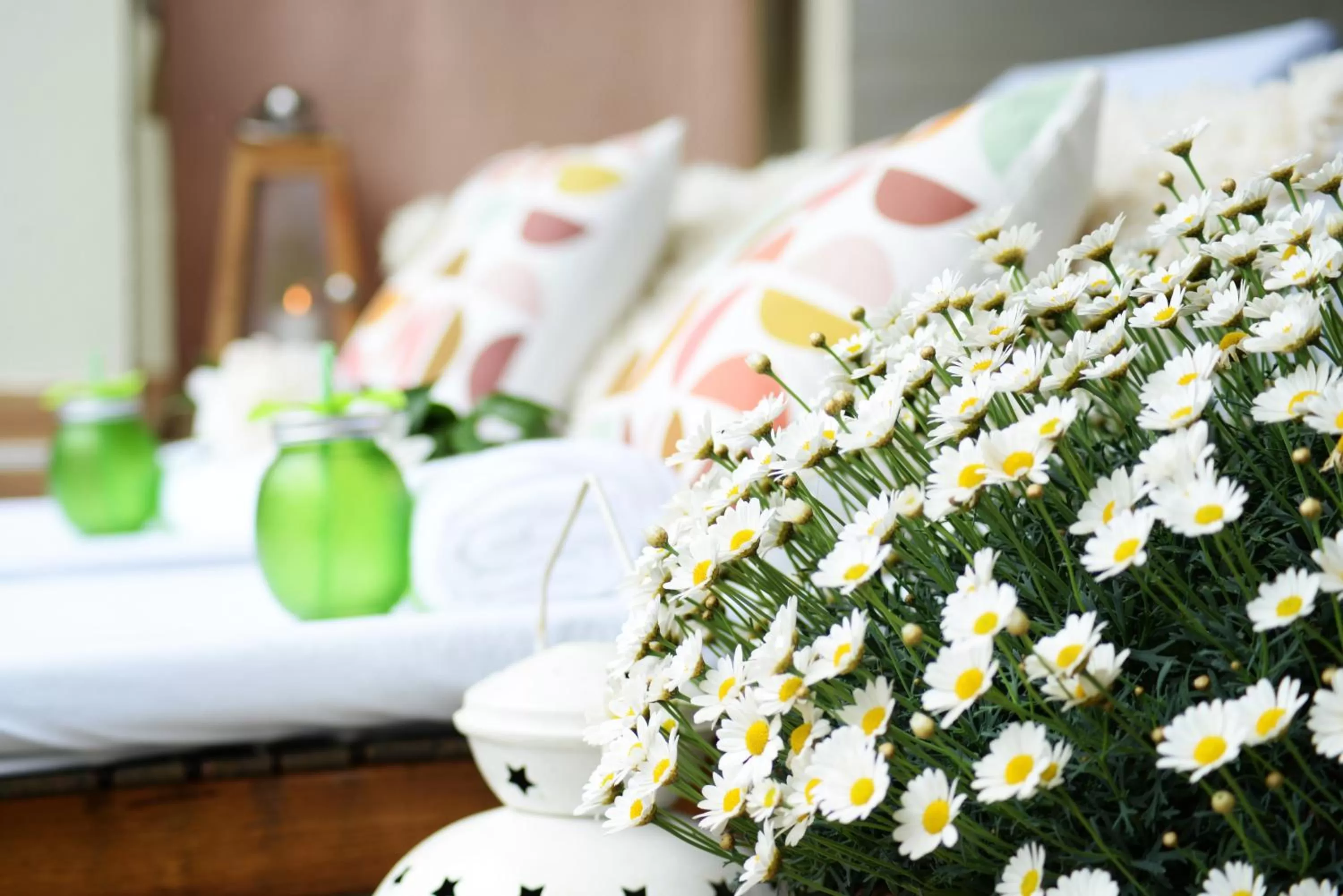 Patio, Bed in Amfora Panzió