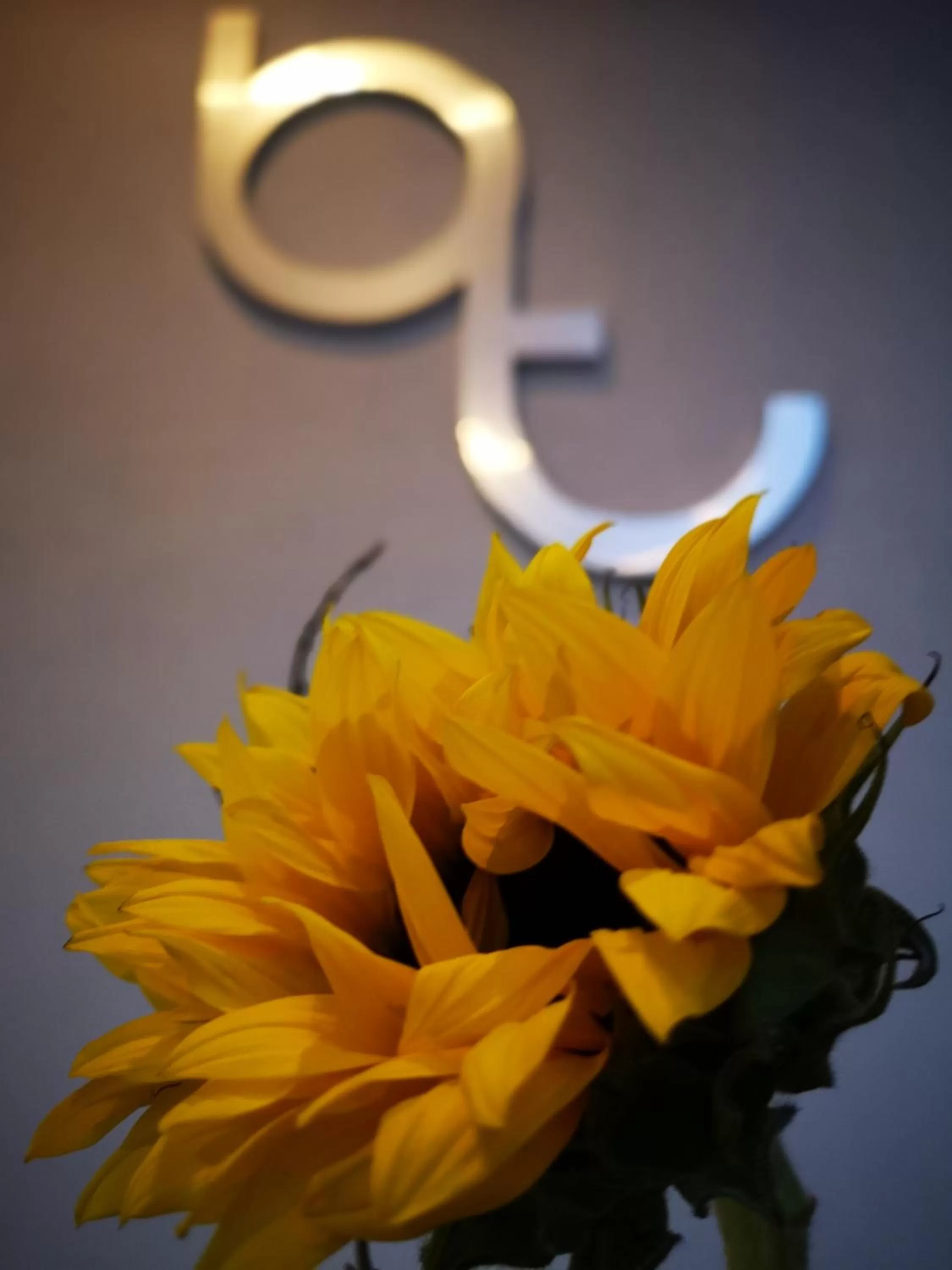 Property logo or sign in Bahia Tolok