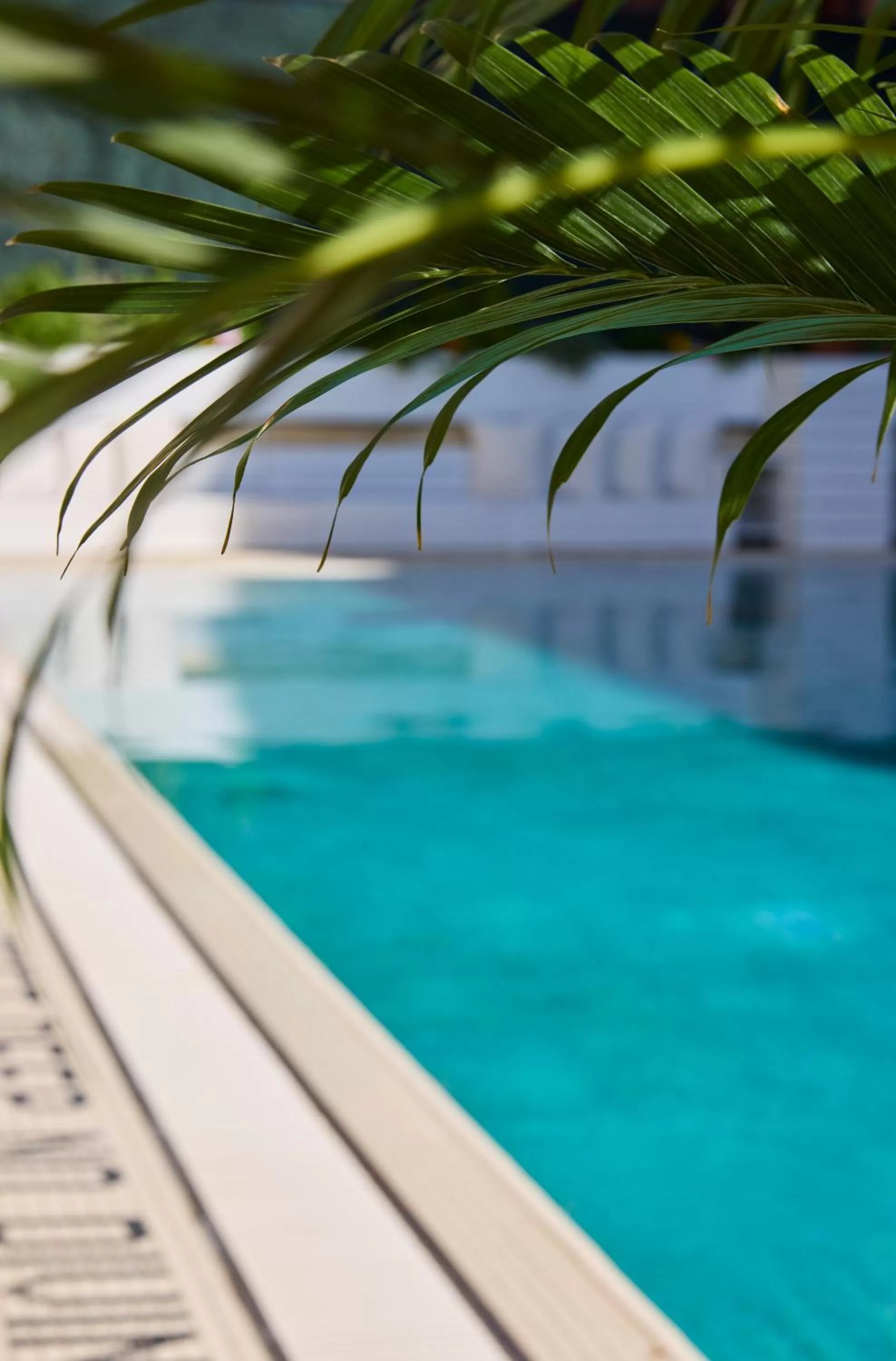 Swimming pool in CODA Williamsburg