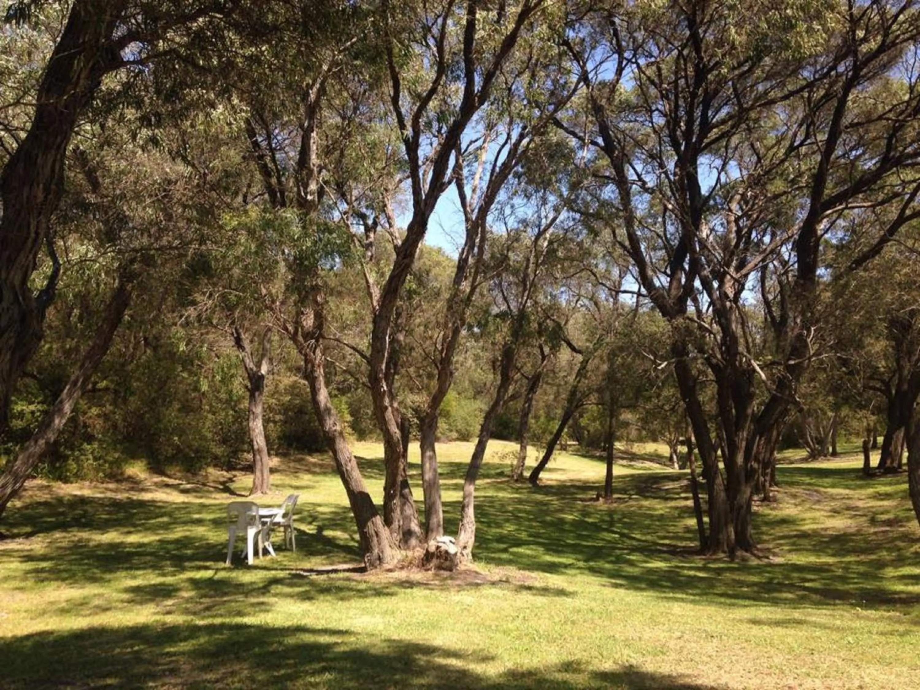 Garden in Emu Beach Chalets