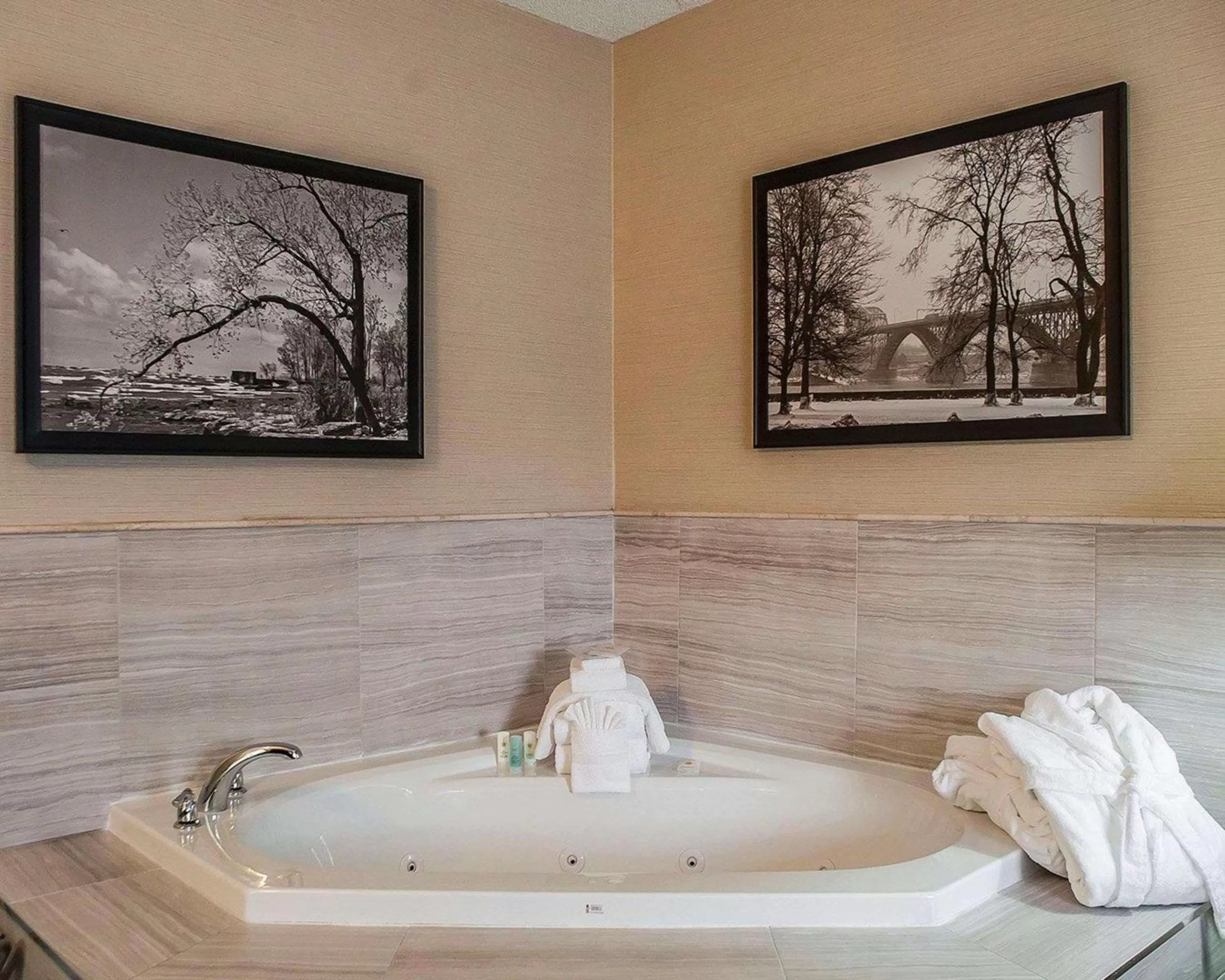 Photo of the whole room in Comfort Inn