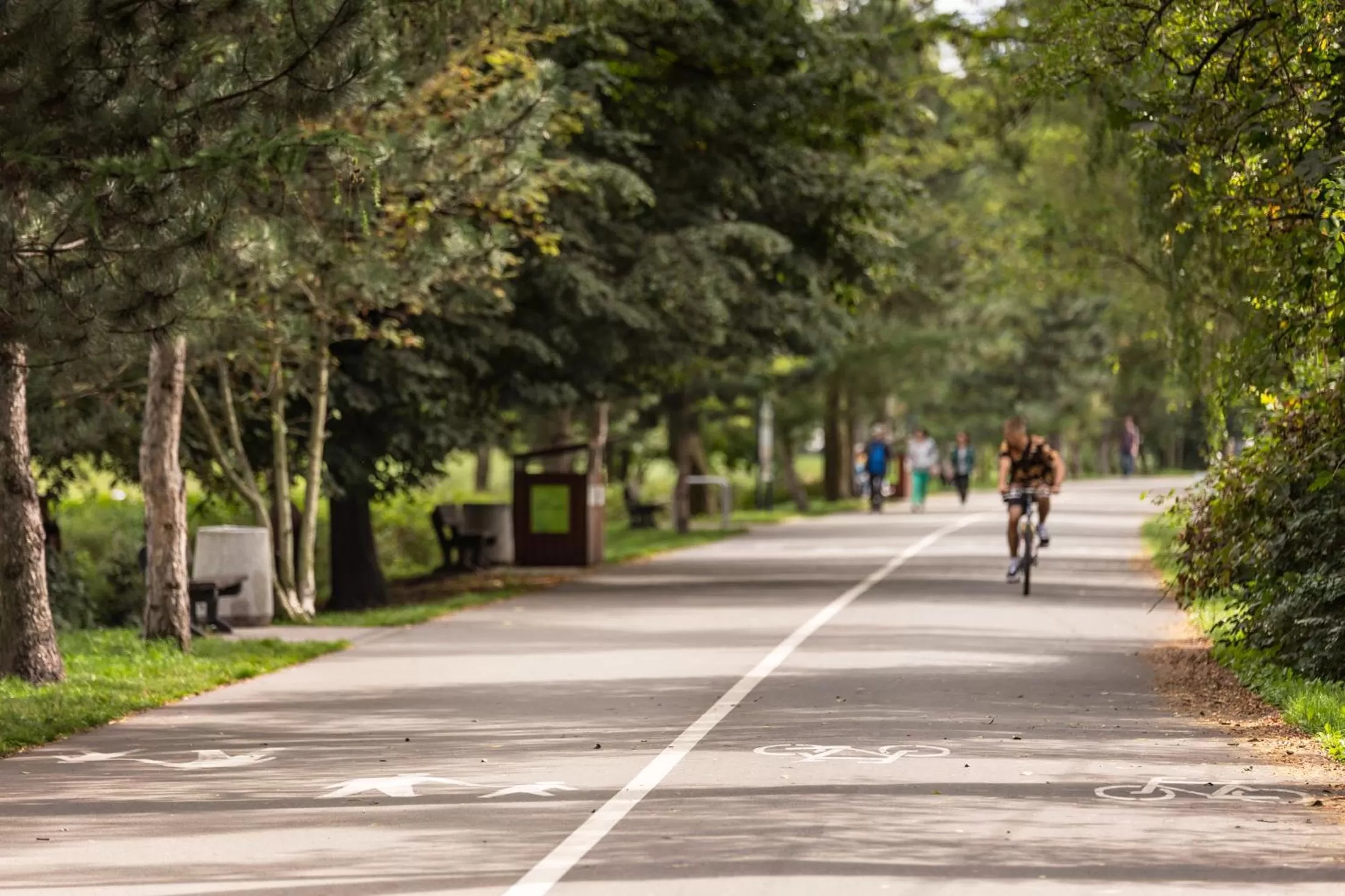 Activities in Hotel Olympic Spa & Wellness