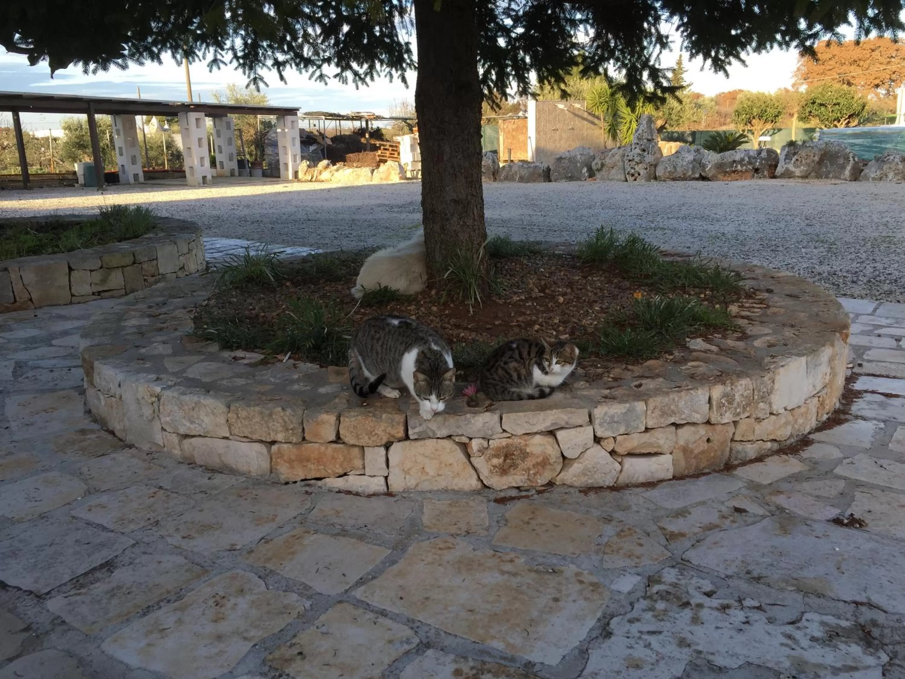 Natural landscape in B&B Villa Grassi
