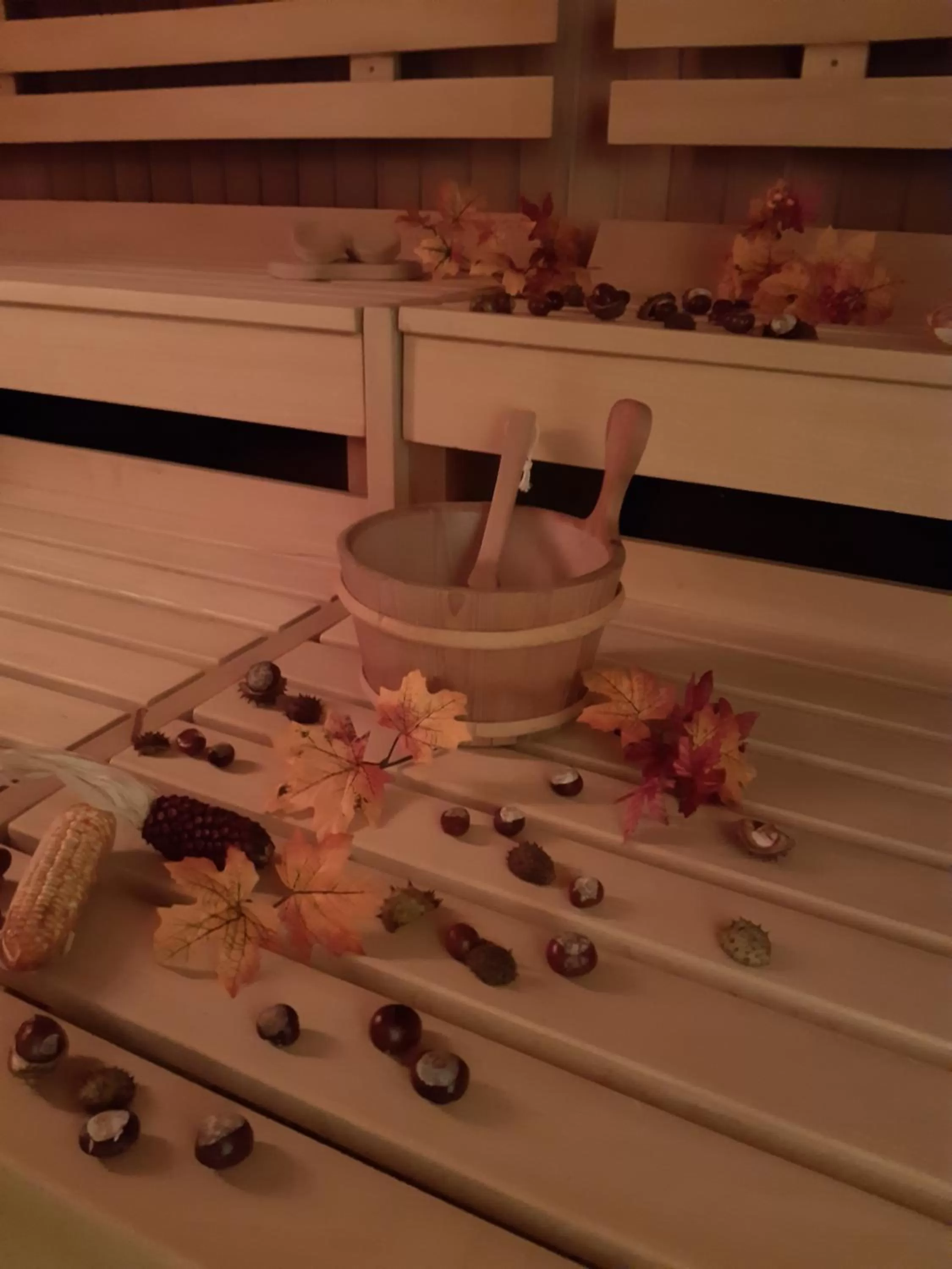 Sauna in Erzgebirgshotel Misnia Bärenfels