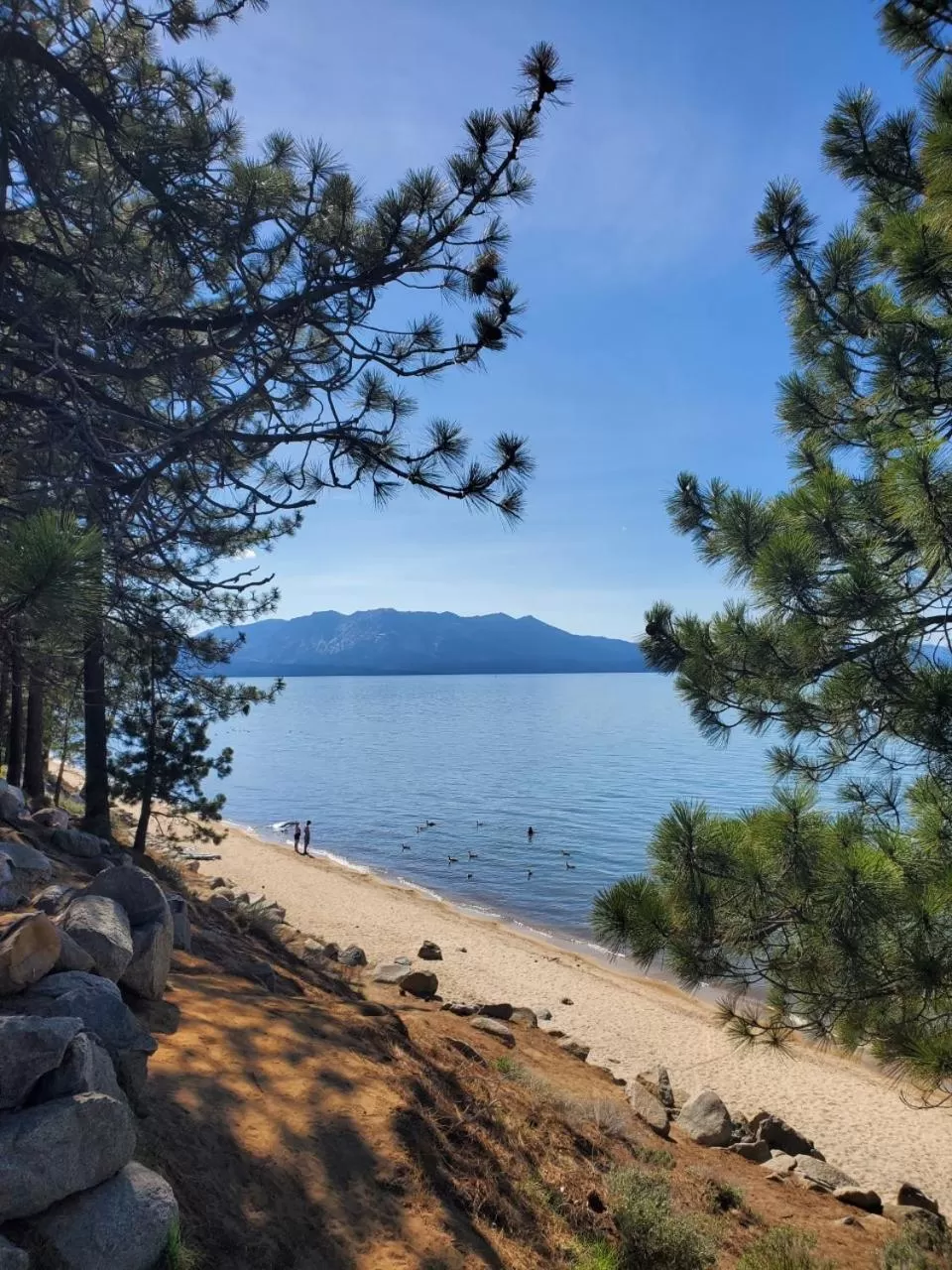 Natural landscape in Bluebird Day Inn & Suites