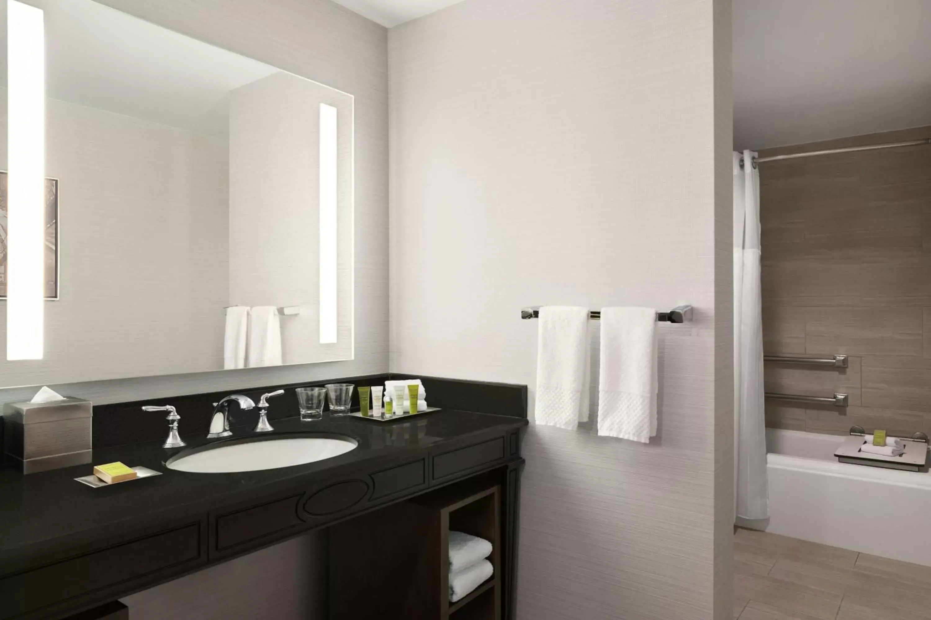 King Room with Bath Tub - Mobility Access in Hilton New Orleans / St. Charles Avenue King Room with Bath Tub - Mobility Access in Hilton New Orleans / St. Charles Avenue