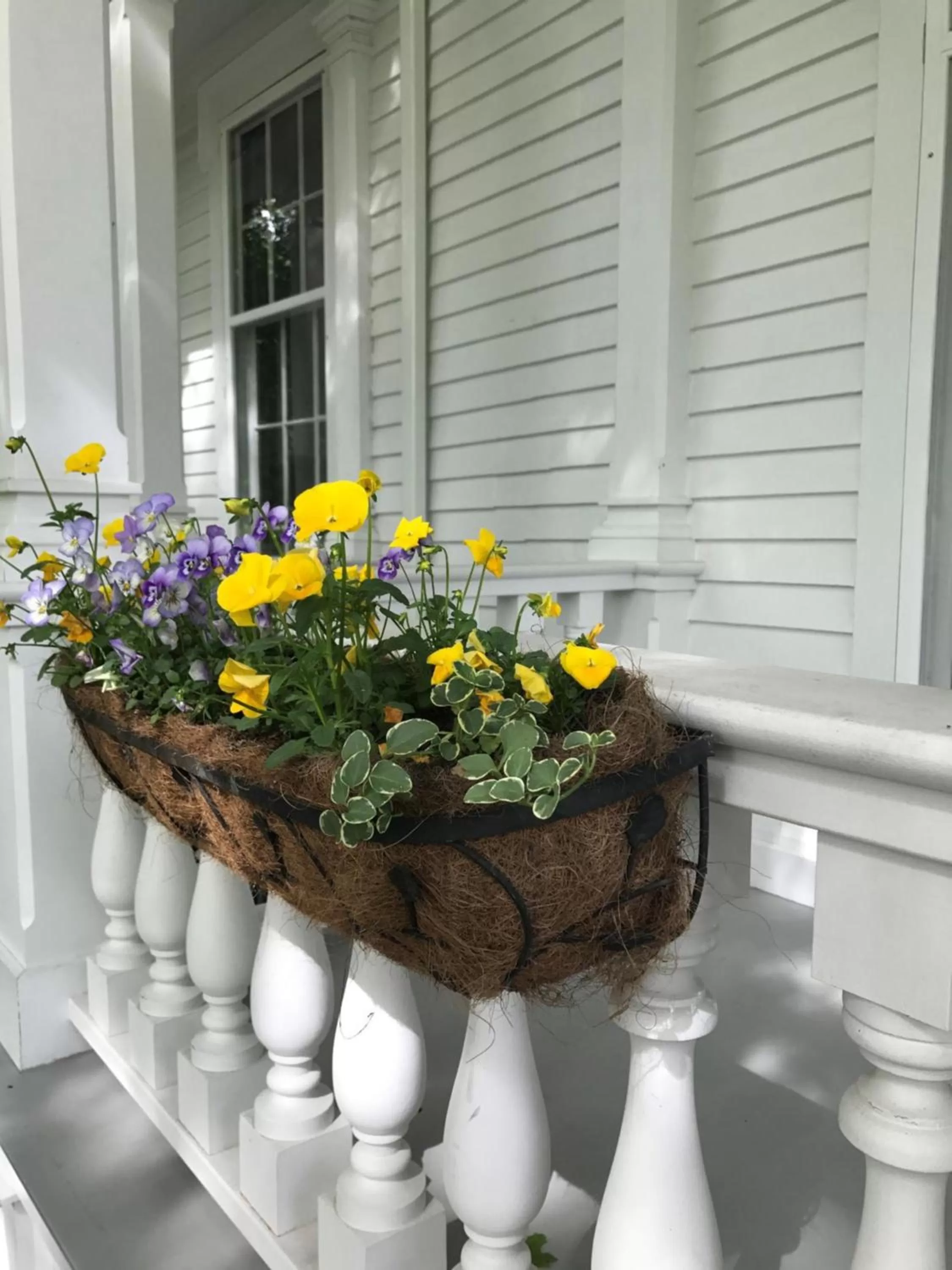 Property building in The Old Lyme Inn