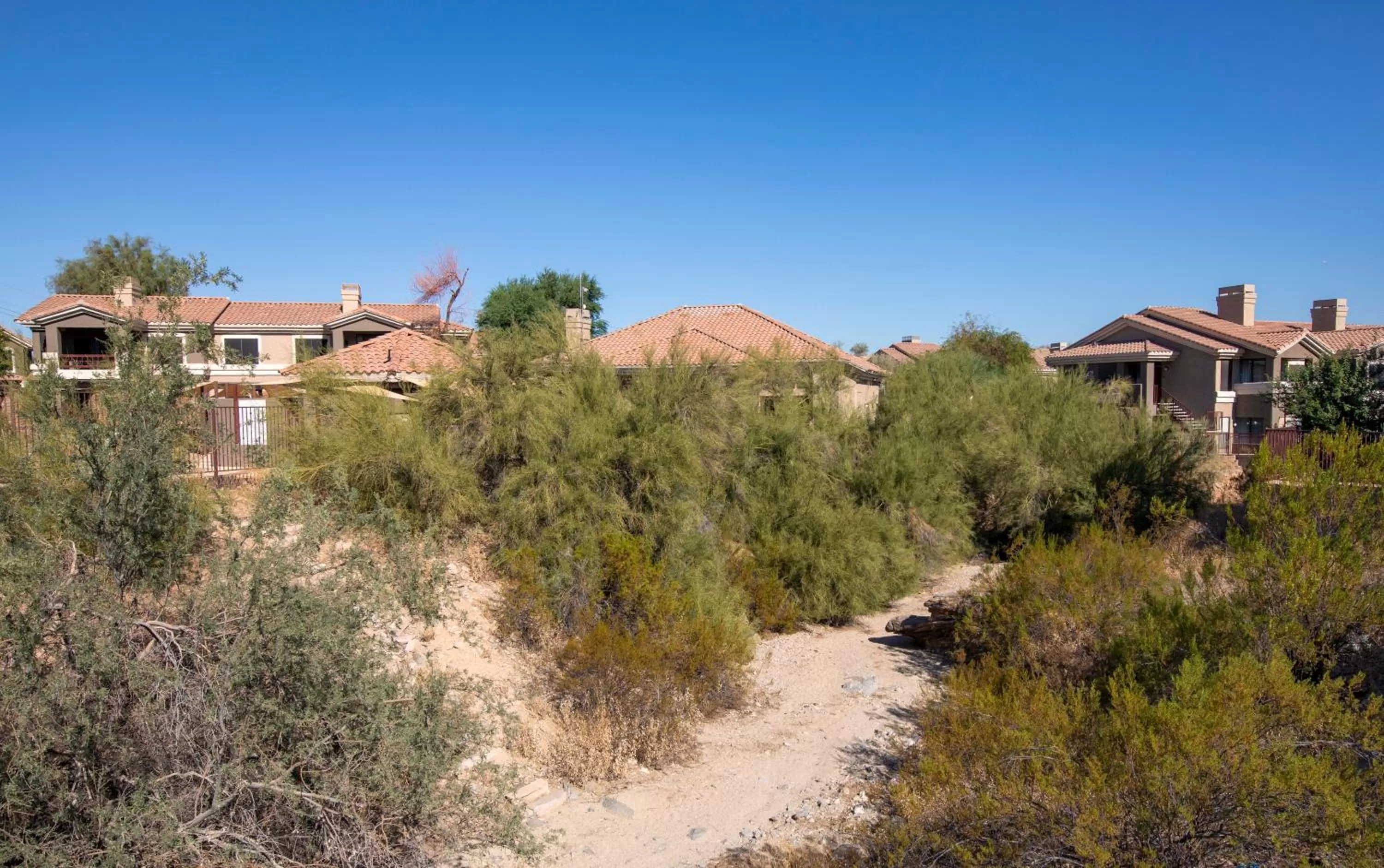 Other in Raintree at Phoenix South Mountain Preserve