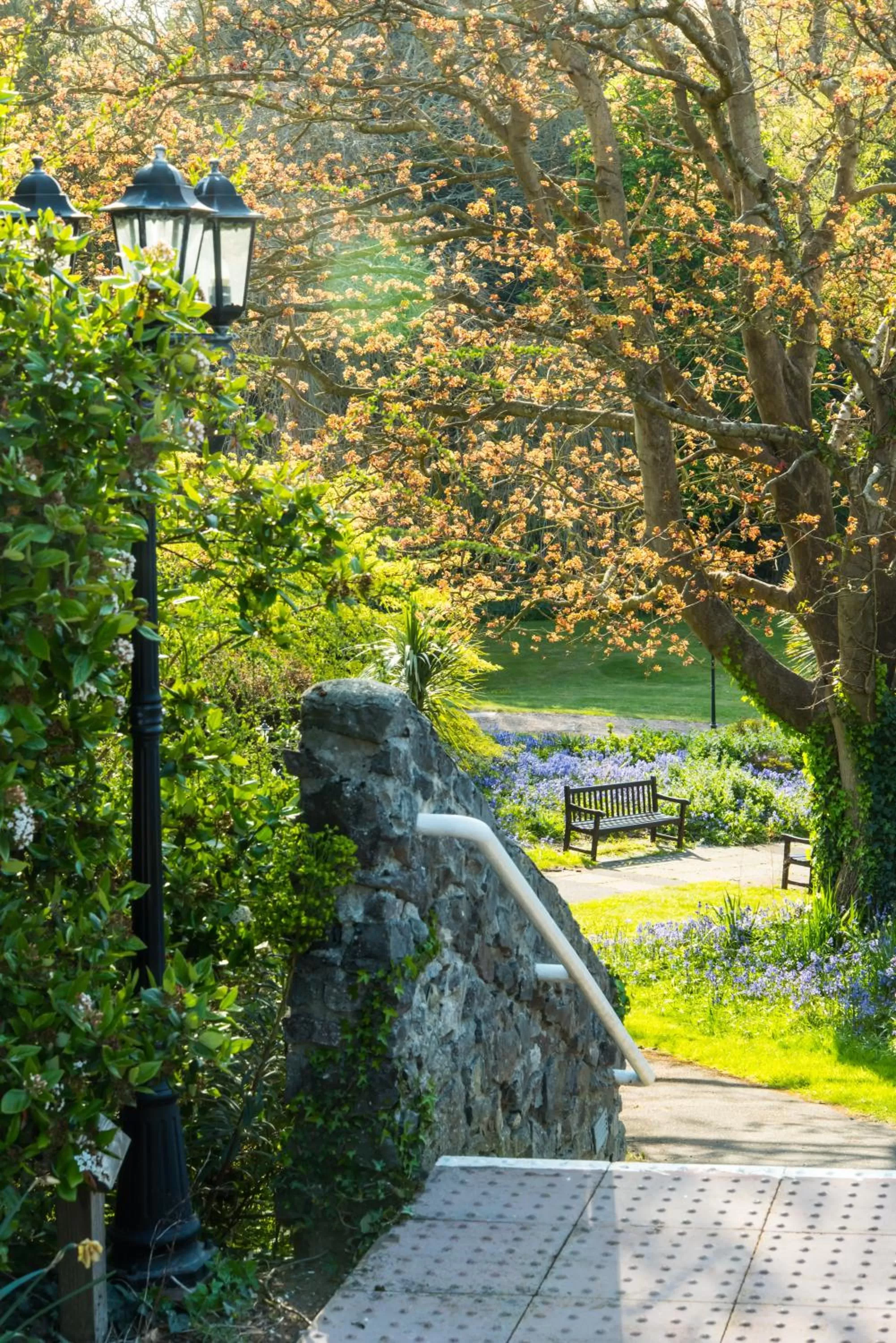 Garden in Cliffden Hotel