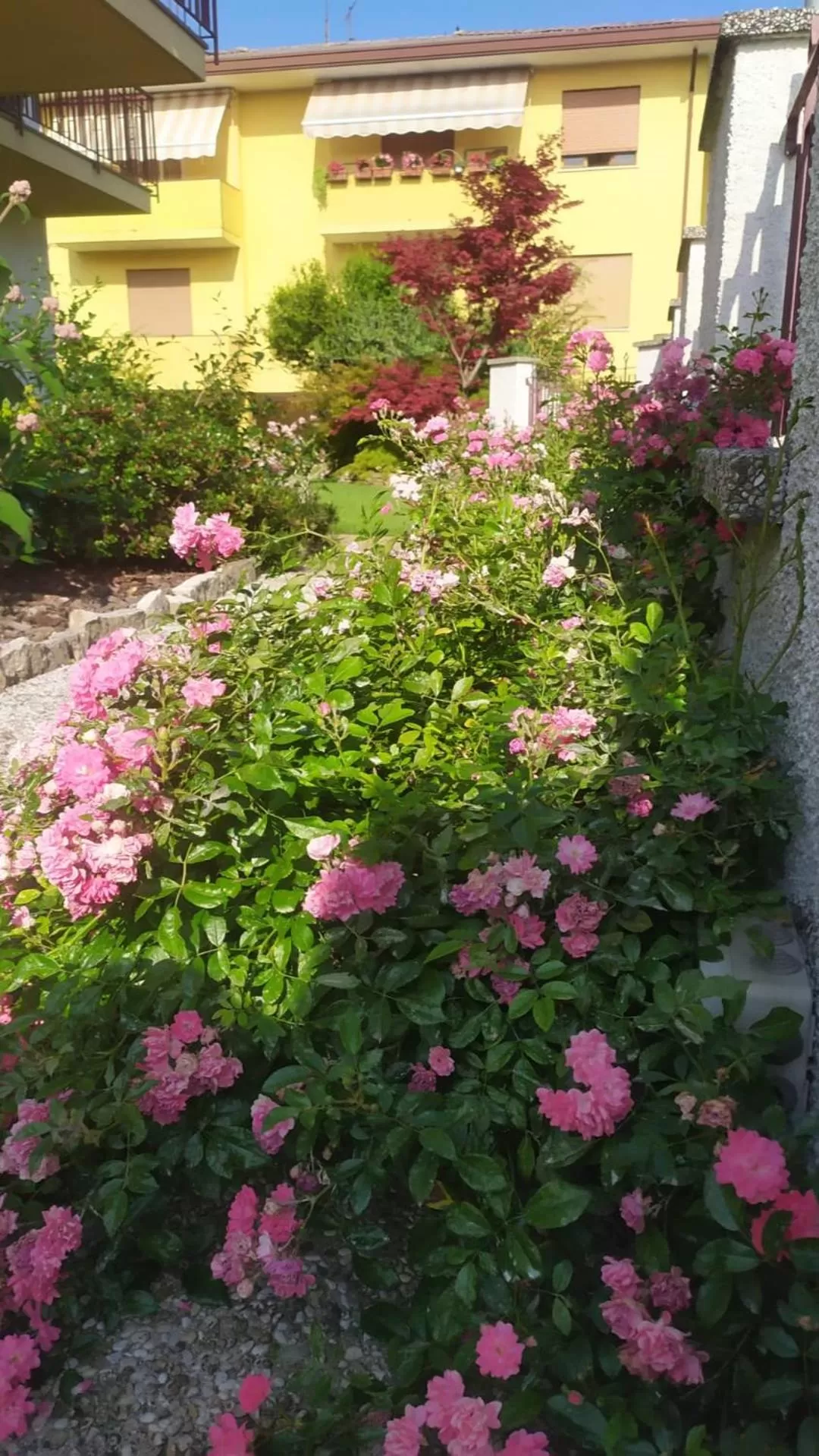 Garden view in Al Casale B&B