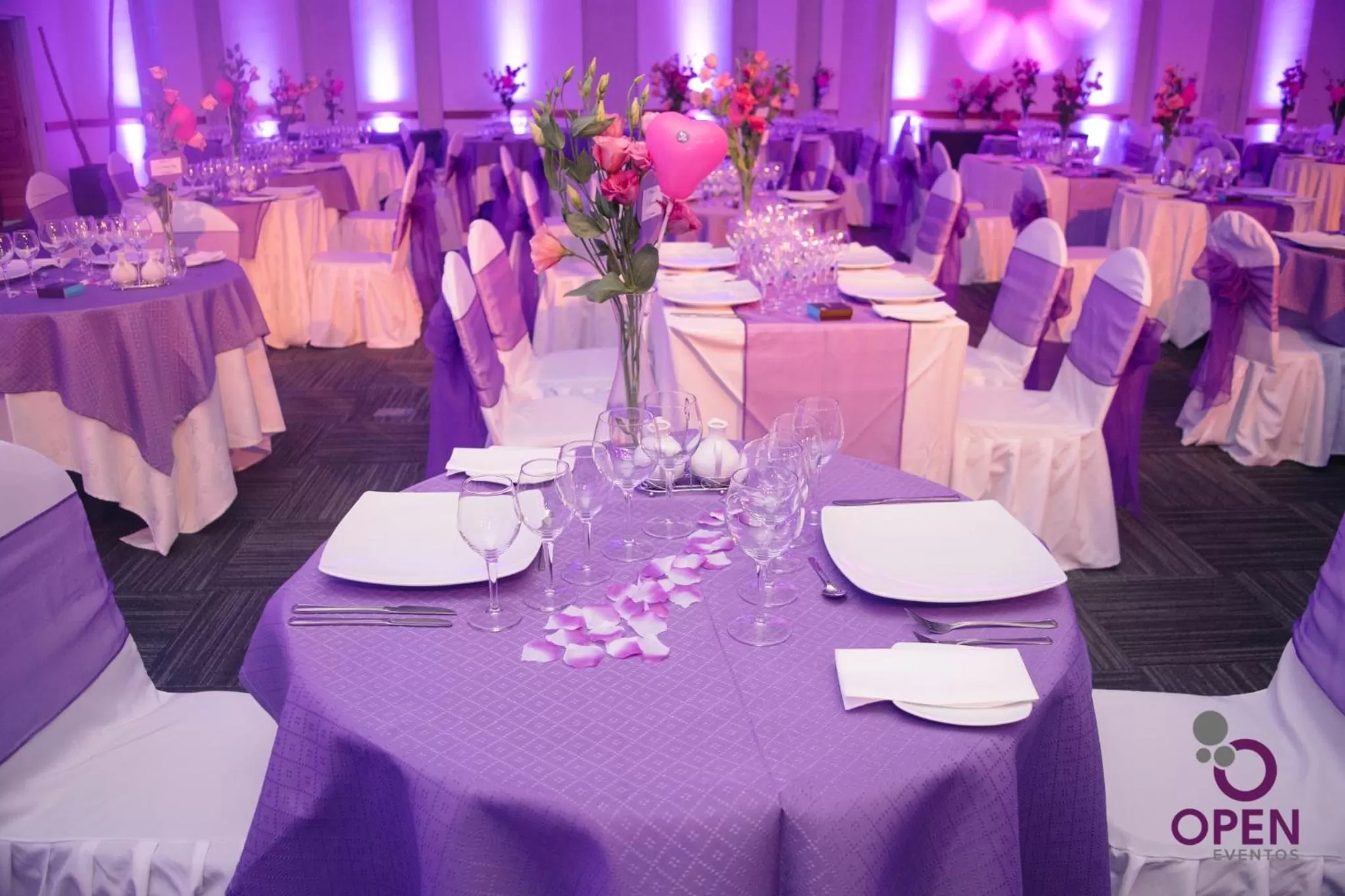 Meeting/conference room, Banquet Facilities in Open Hotel