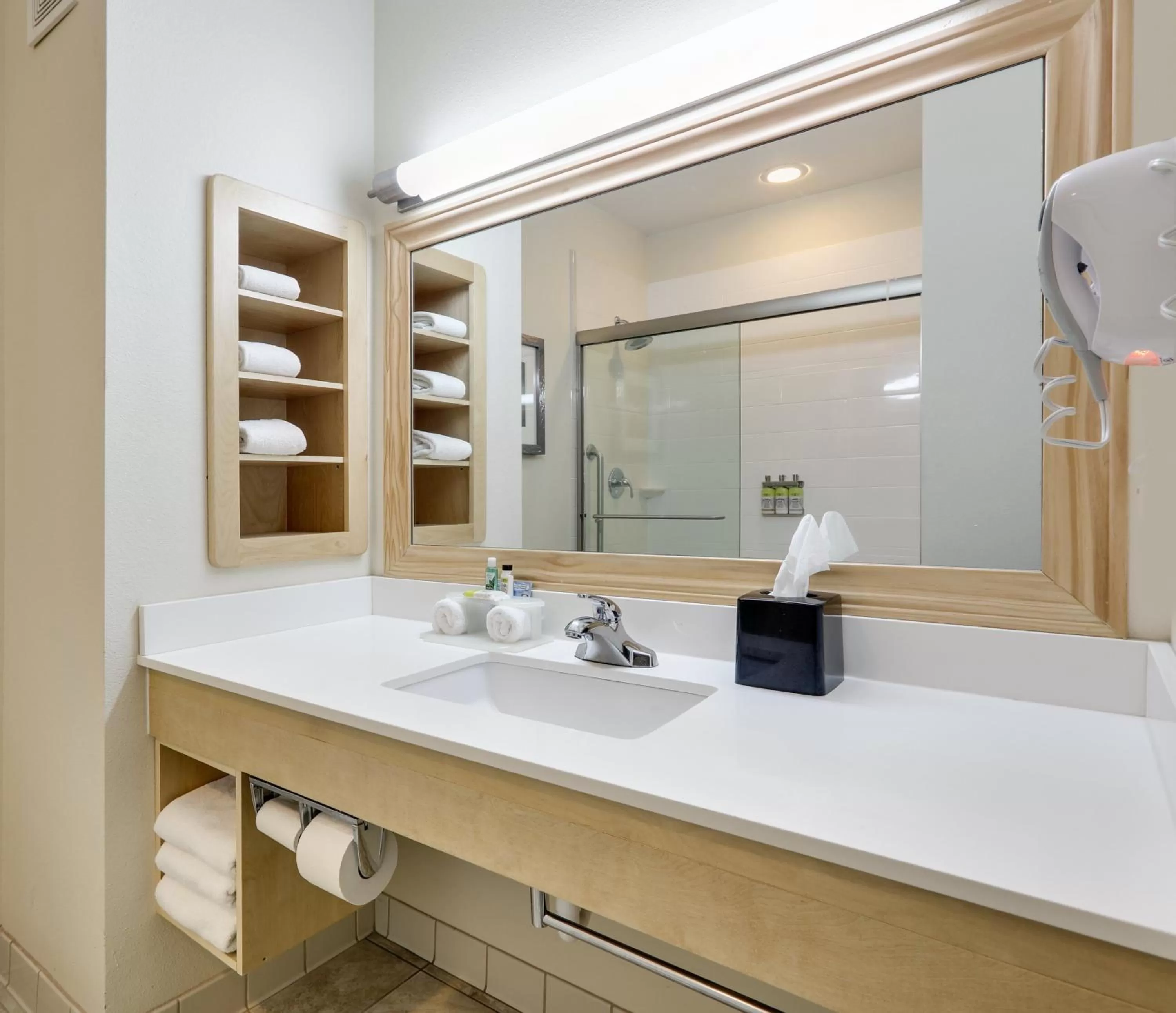 Bathroom in Holiday Inn Express & Suites San Antonio - Brooks City Base by IHG