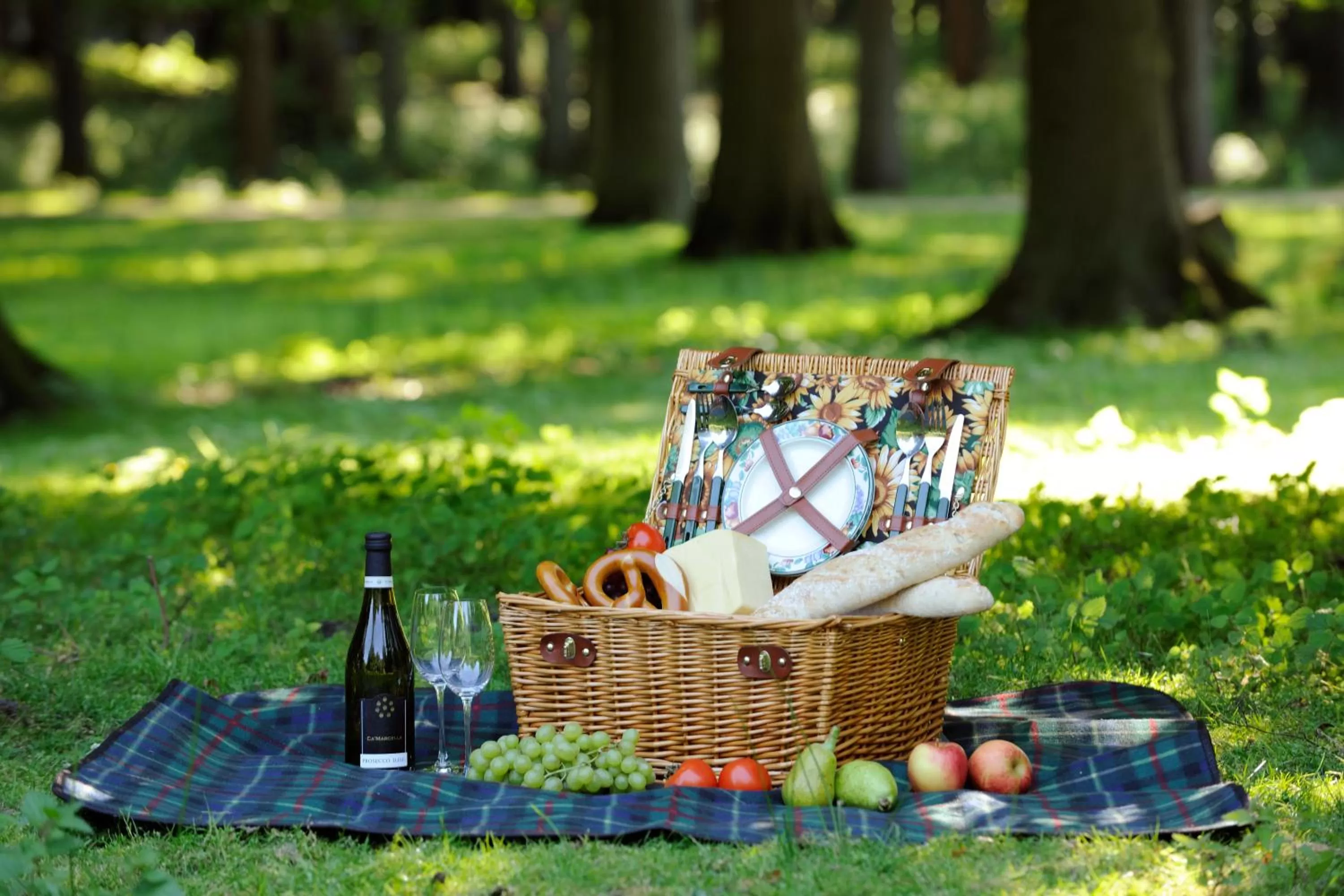 Area and facilities in VILA VITA Burghotel Dinklage