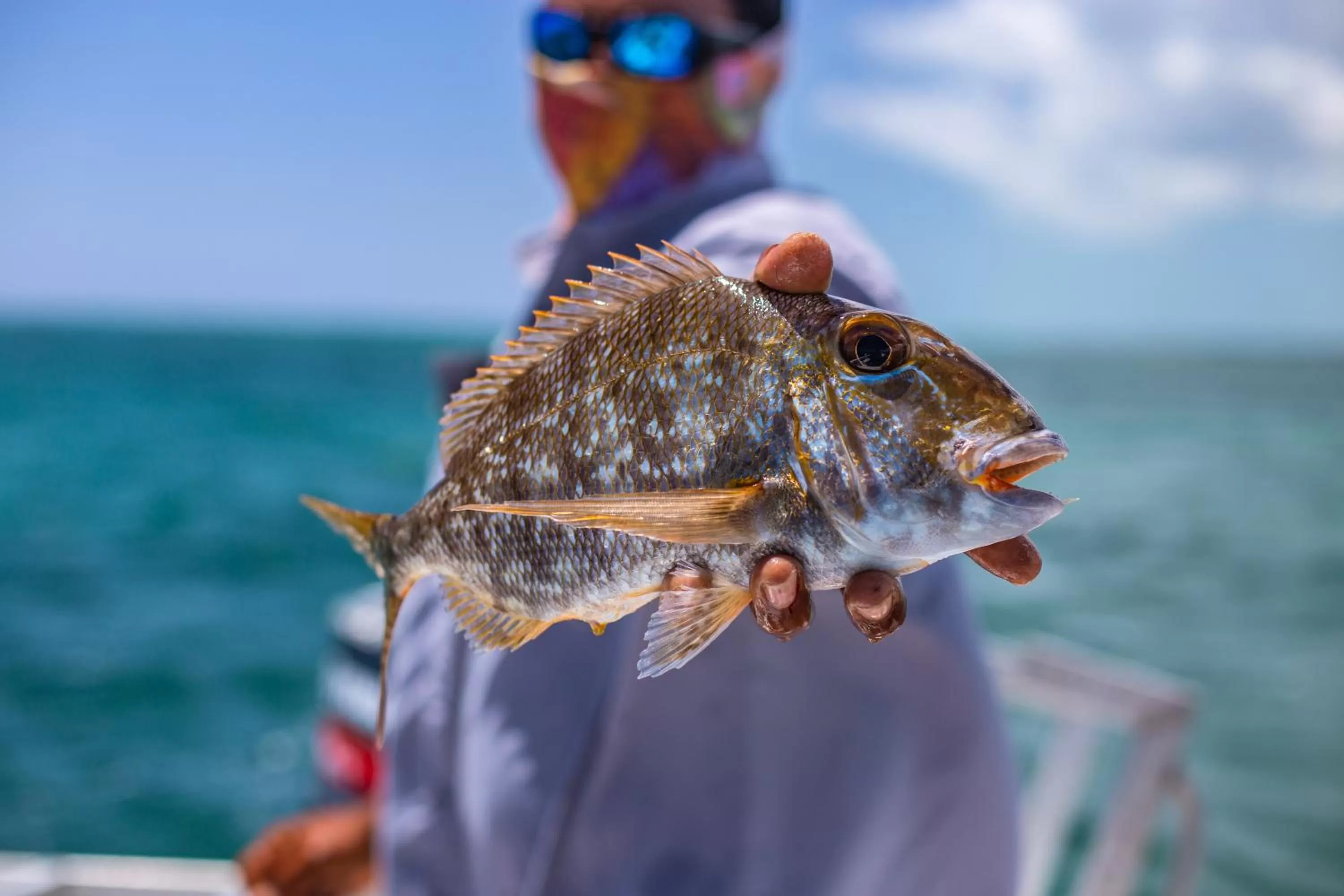 Fishing in Portofino Beach Resort-An Authentic Island Escape!