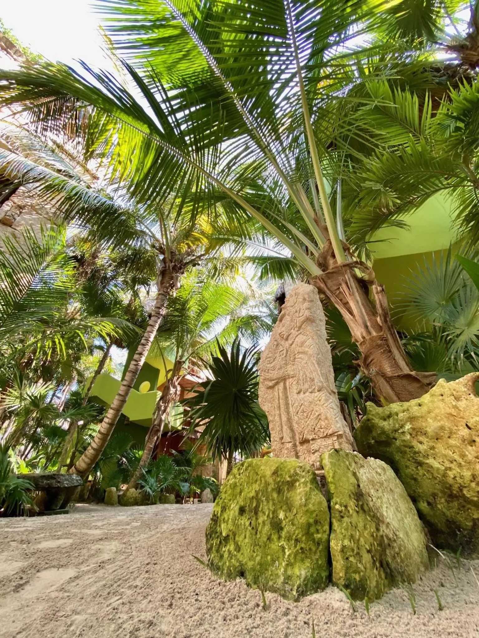 Garden view in Sueños Tulum
