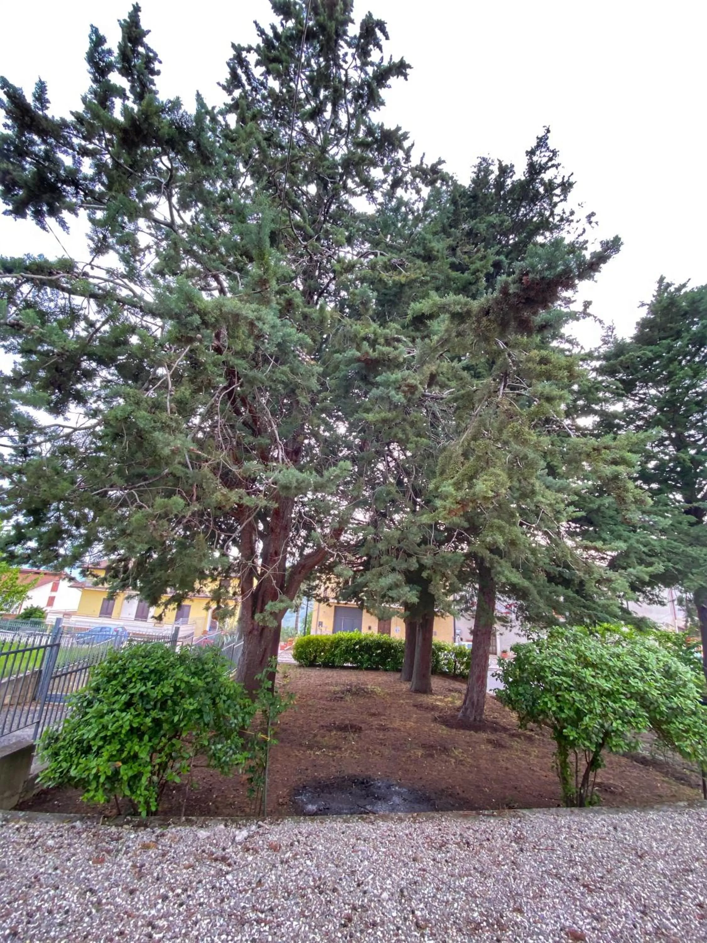 Garden in La Casa Della Nonna