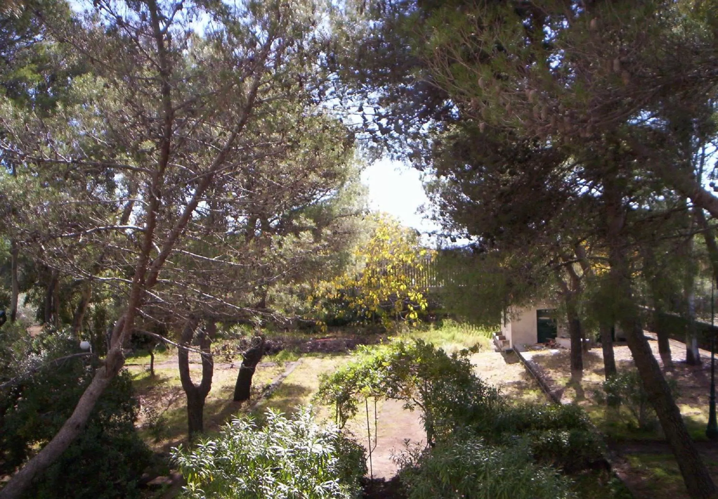 Garden in Villa Morgante B&B