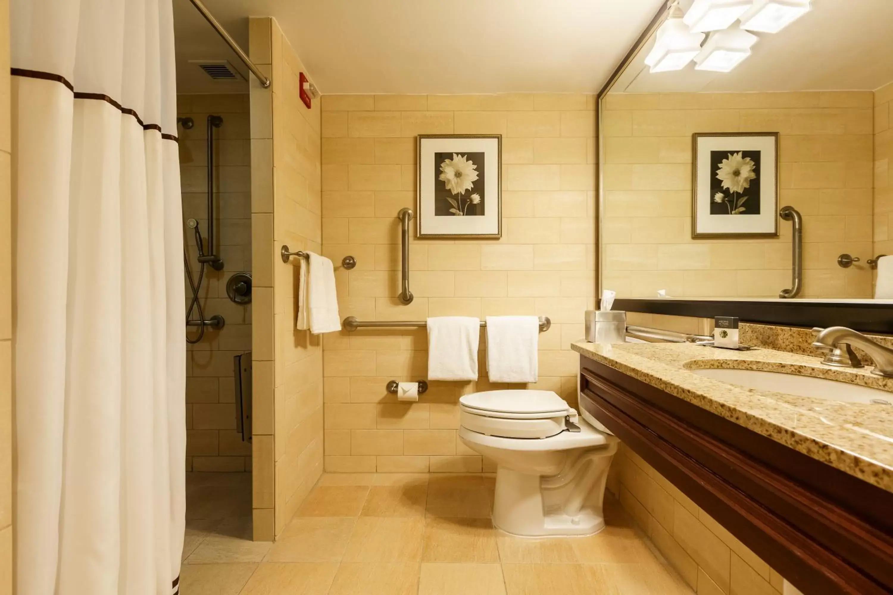 King Room with Roll-In Shower - Disability Access in Sleepy Hollow Hotel King Room with Roll-In Shower - Disability Access in Sleepy Hollow Hotel