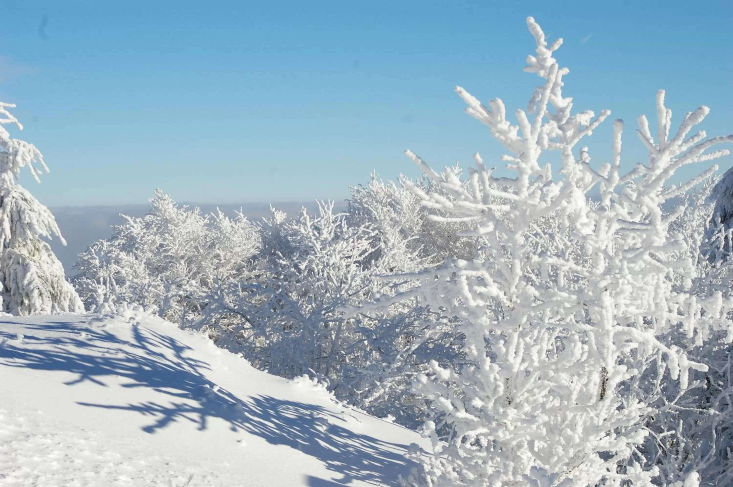 Winter in Landhaus Talblick- Boutique Hotel Bed and Breakfast