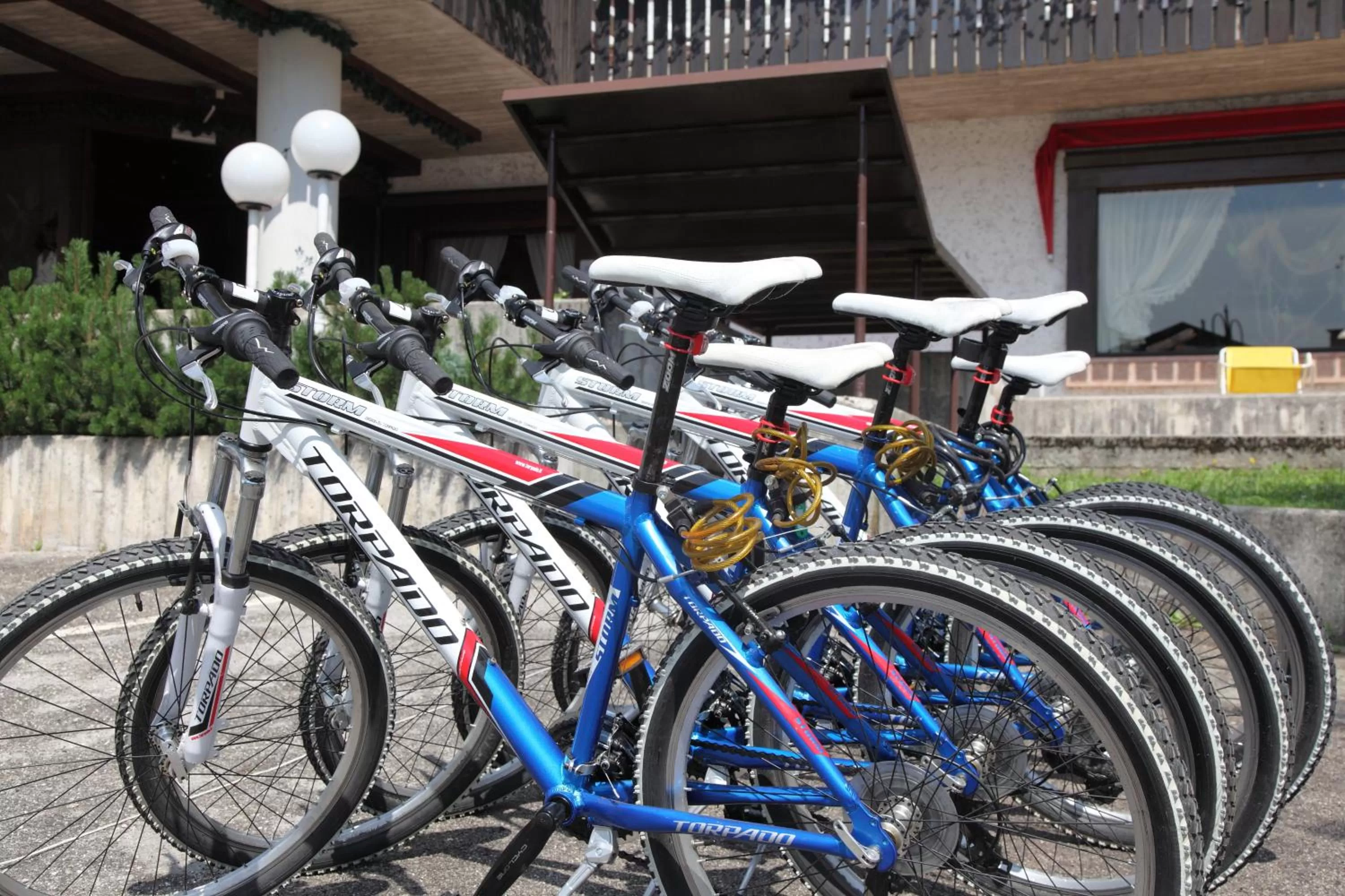 Cycling in Hotel Nigritella