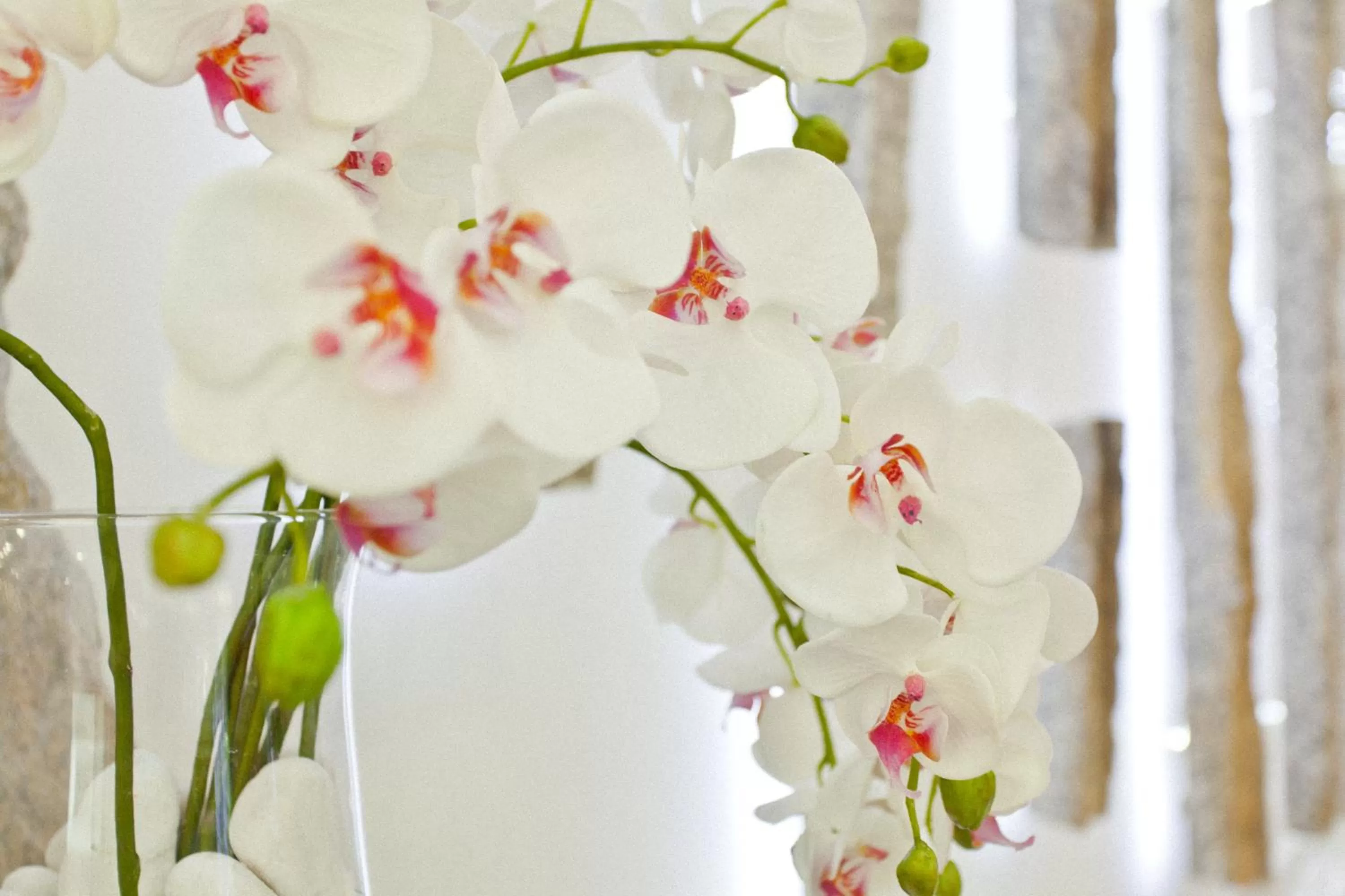 Lobby or reception in Porcel Sabica